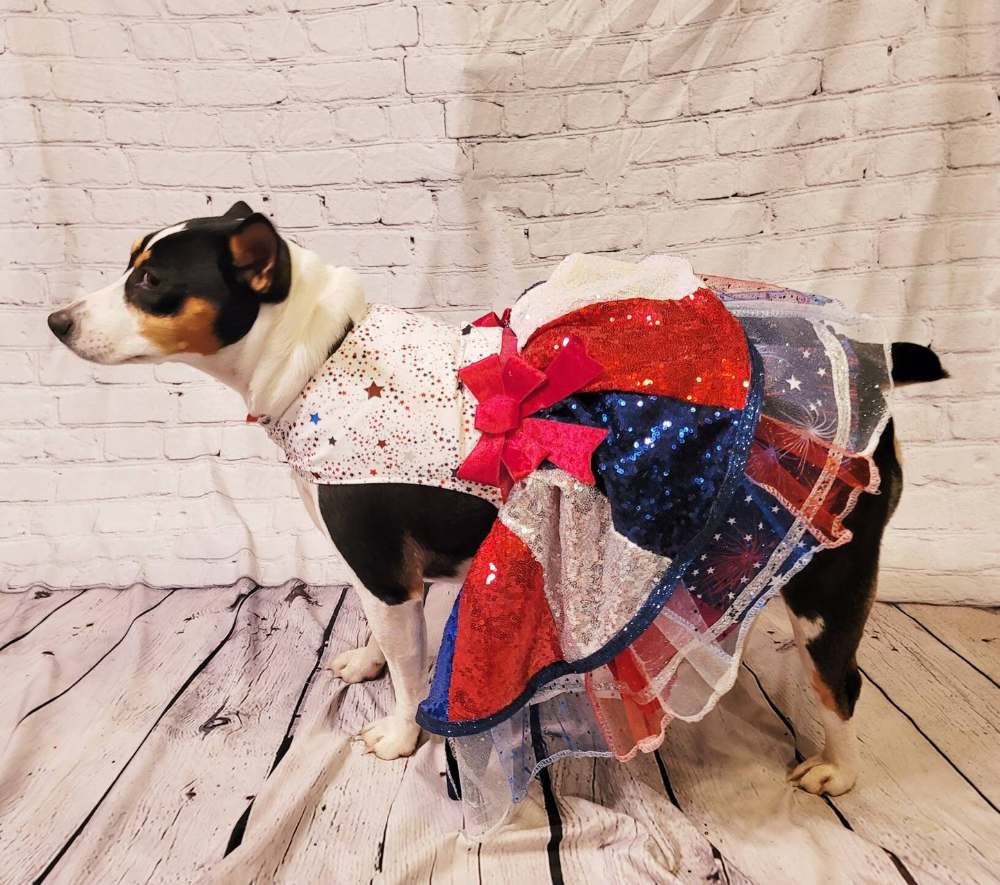 July 4th sequin pet costume, 4th of July pet dress, sequin patriotic pet dress, 4th of july dog dress, 4th of july dog costume, July 4th pet dress