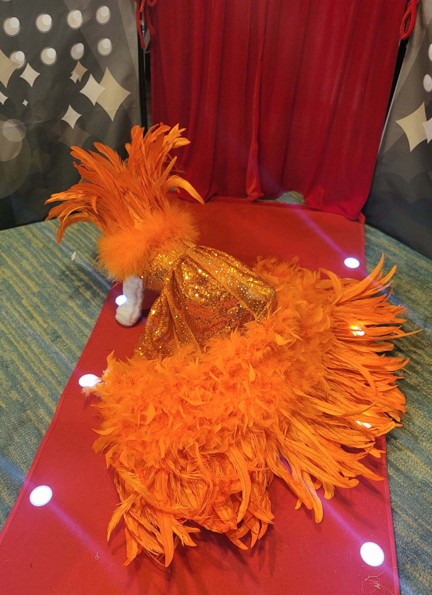 Feather sequin special occasion pet dress, Orange feather pet dress, Kendall Jenner Met gala pet costume