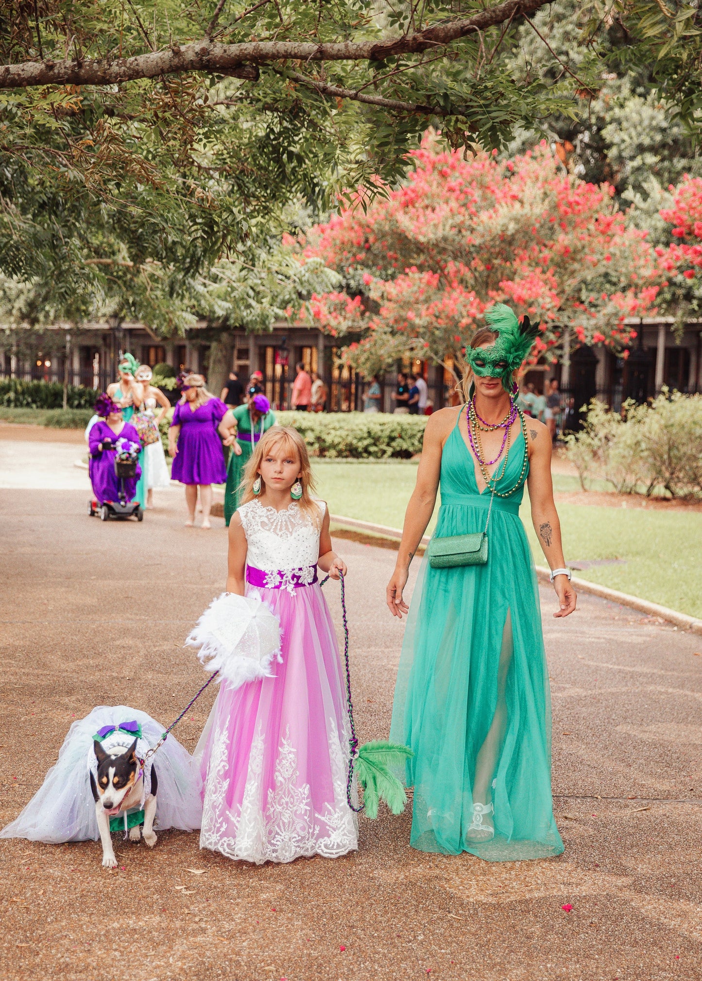 Flower dog dress, flower Pet dress, wedding pet dress, wedding dog dress, custom pet wedding dress, bridal pet dress, white pet dress