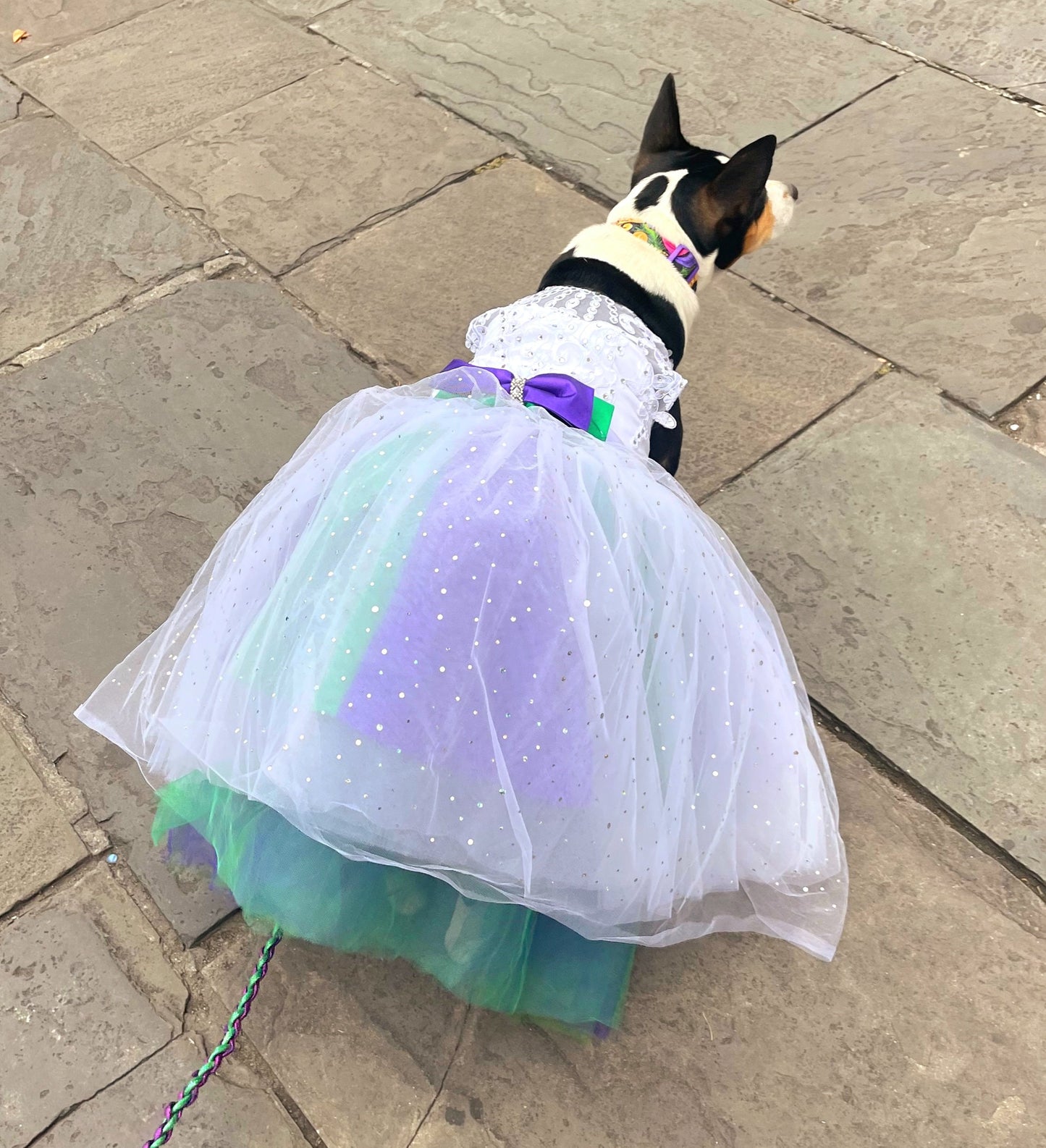 Flower dog dress, flower Pet dress, wedding pet dress, wedding dog dress, custom pet wedding dress, bridal pet dress, white pet dress