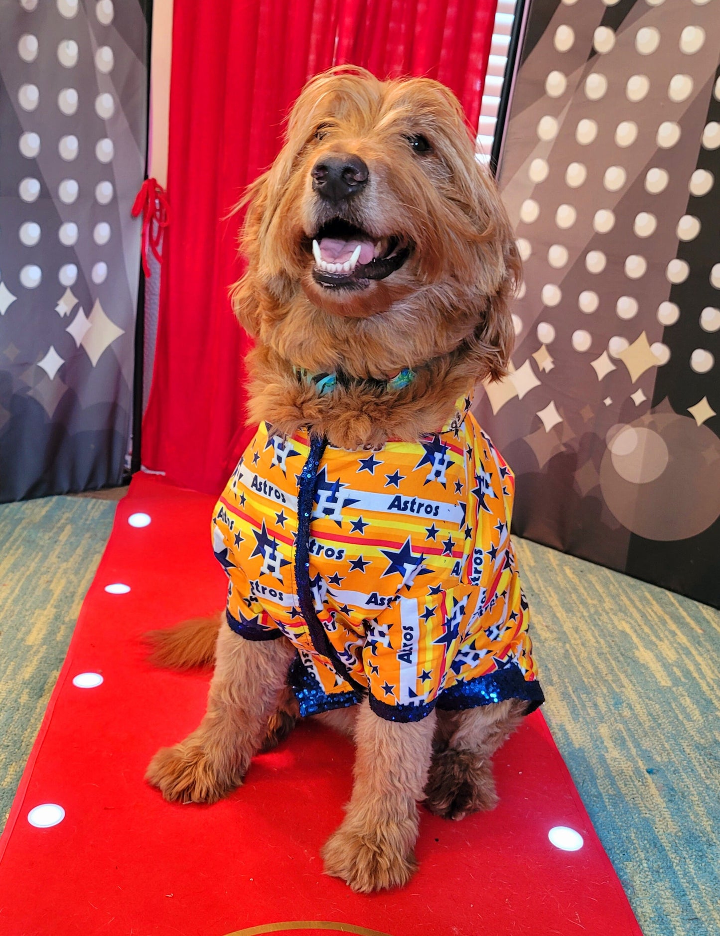 Houston Astros sequin Pet Shirt, Astros Pet shirt, Houston Astros dog shirt, vintage Astros Pet shirt, Astros sequin pet shirt, Astros collar pet