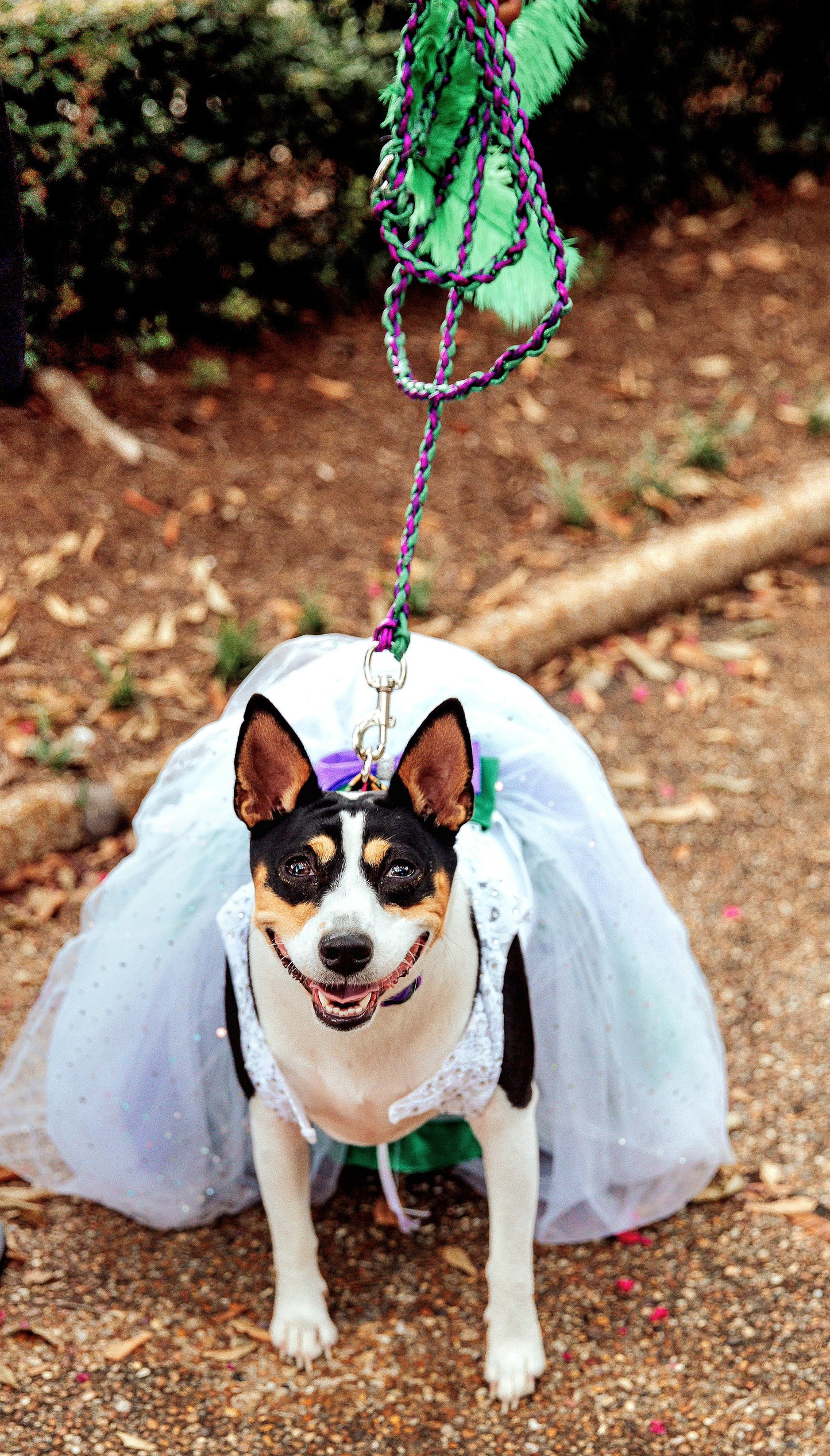 Flower dog dress, flower Pet dress, wedding pet dress, wedding dog dress, custom pet wedding dress, bridal pet dress, white pet dress