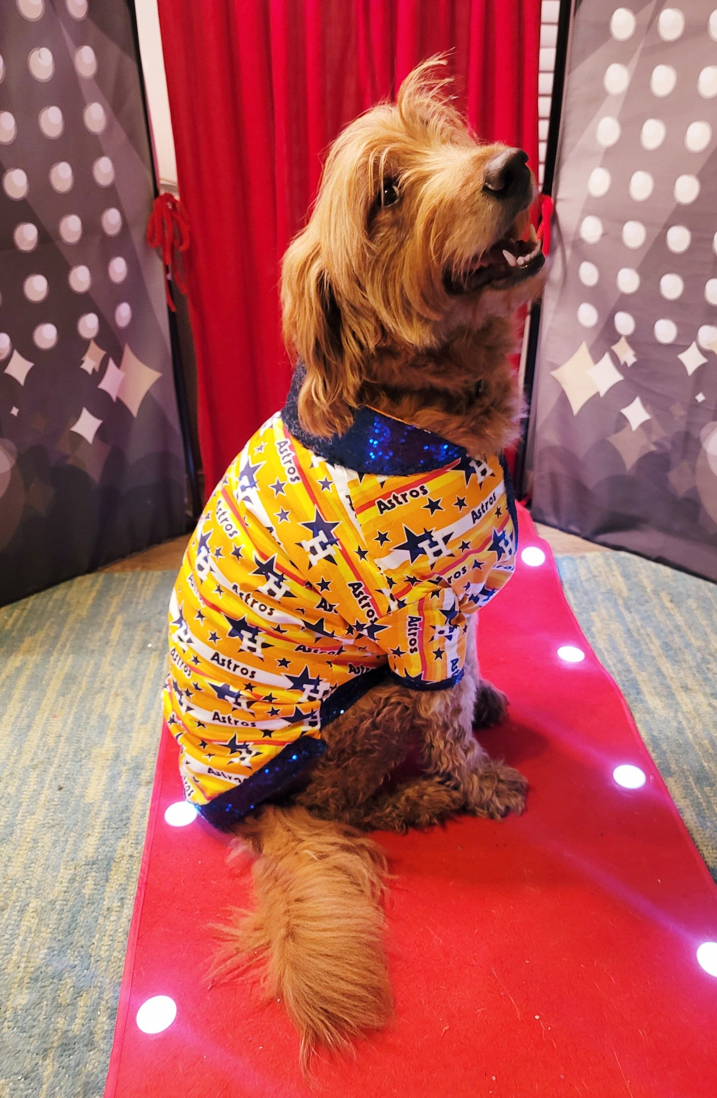 Houston Astros sequin Pet Shirt, Astros Pet shirt, Houston Astros dog shirt, vintage Astros Pet shirt, Astros sequin pet shirt, Astros collar pet