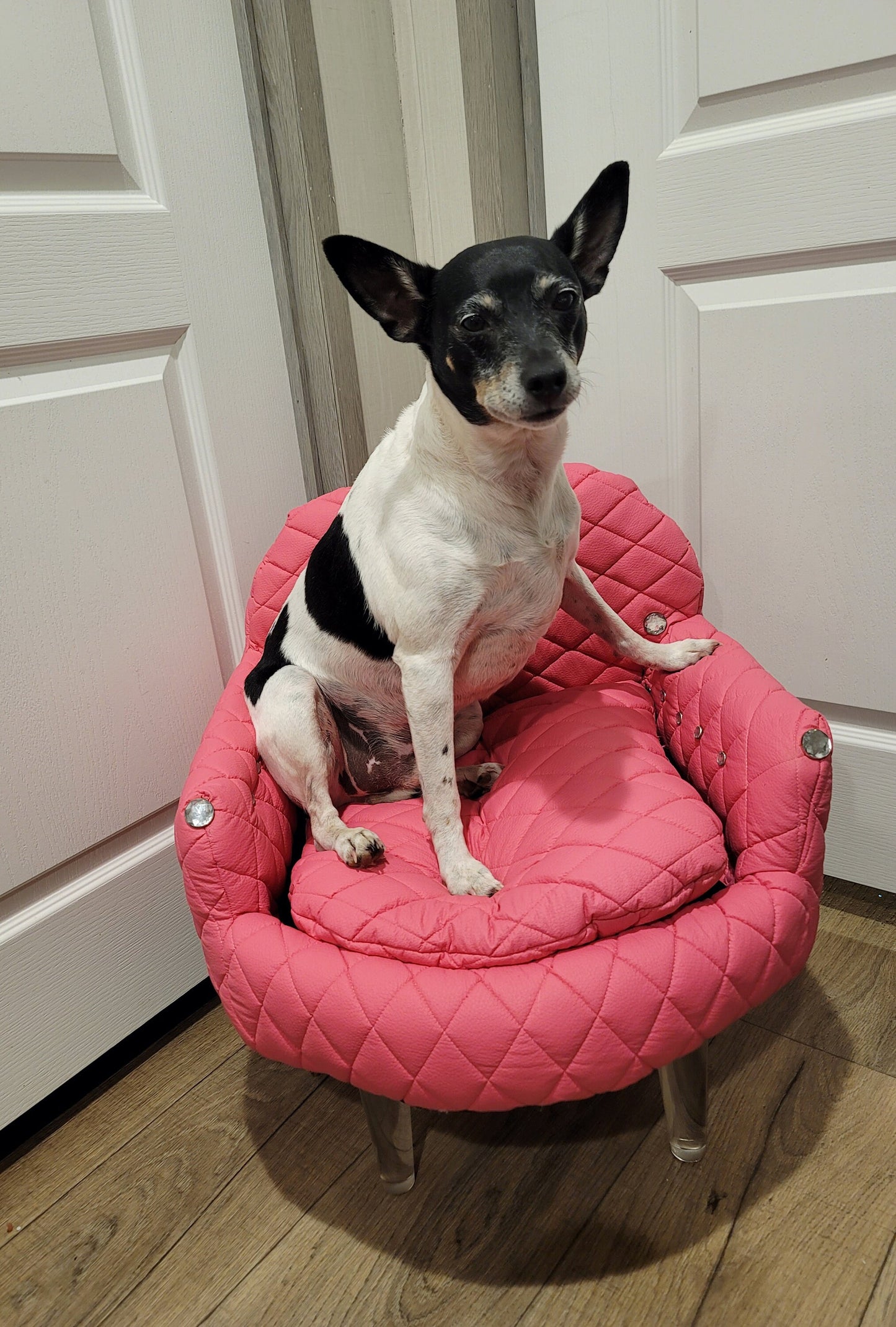 Leather contemporary pet chair, Quilted leather pet bed, leather dog chair, luxury leather pet chair, tall pet bed, leather dog beds