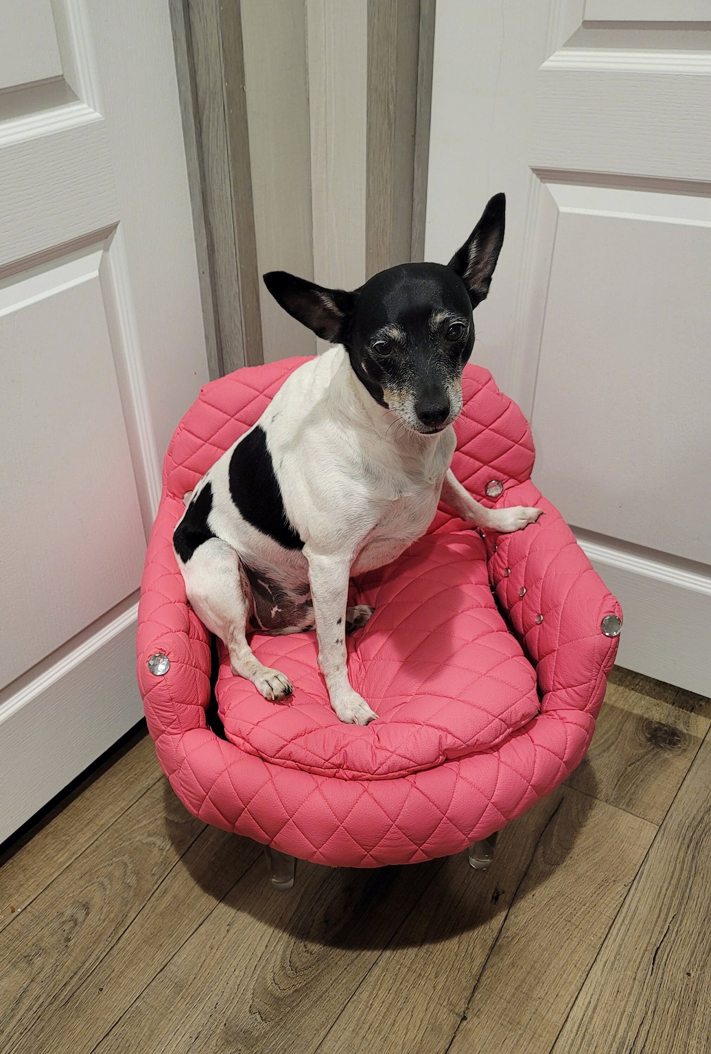 Leather contemporary pet chair, Quilted leather pet bed, leather dog chair, luxury leather pet chair, tall pet bed, leather dog beds