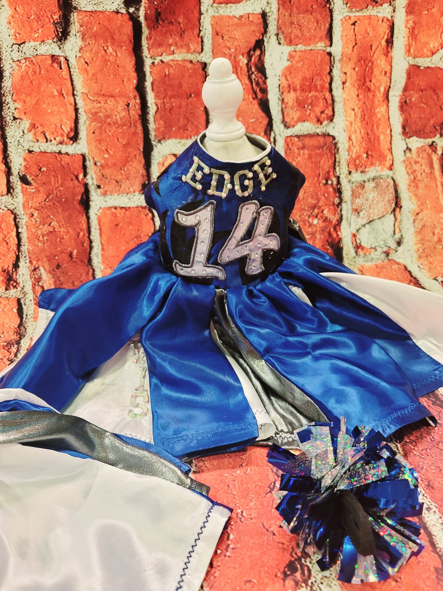 Personalize cheerleading pet dress, diy team pet dress, dog cheerleading dress, pet cheerleading dress, embroidered cheerleading dress