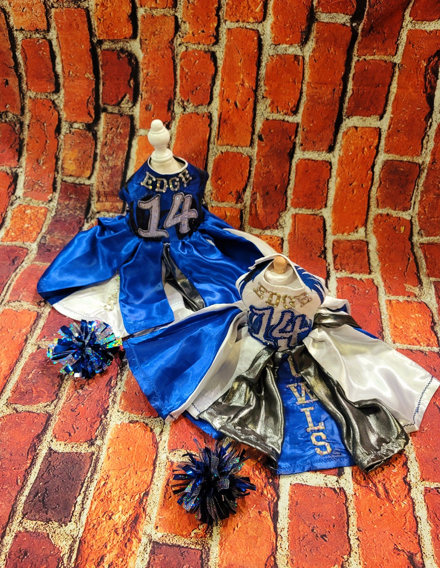 Personalize cheerleading pet dress, diy team pet dress, dog cheerleading dress, pet cheerleading dress, embroidered cheerleading dress