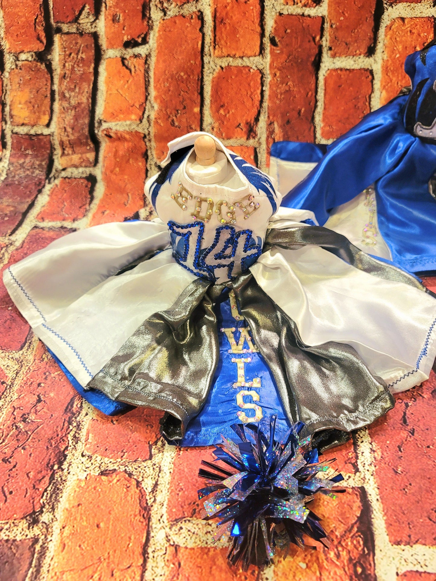 Personalize cheerleading pet dress, diy team pet dress, dog cheerleading dress, pet cheerleading dress, embroidered cheerleading dress