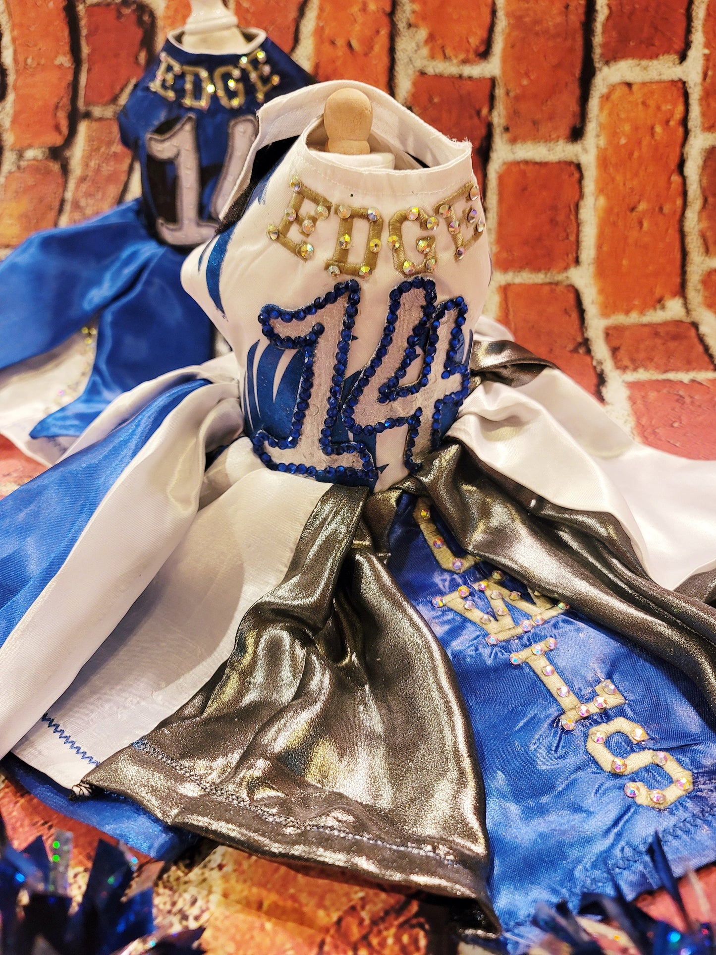 Personalize cheerleading pet dress, diy team pet dress, dog cheerleading dress, pet cheerleading dress, embroidered cheerleading dress