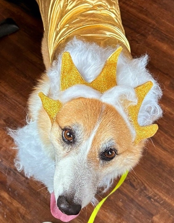King Triton Pet wig, beard and crown, King Triton dog wig and crown, Sea King Pet wig, beard and crown, Mermaid Pet wig and beard