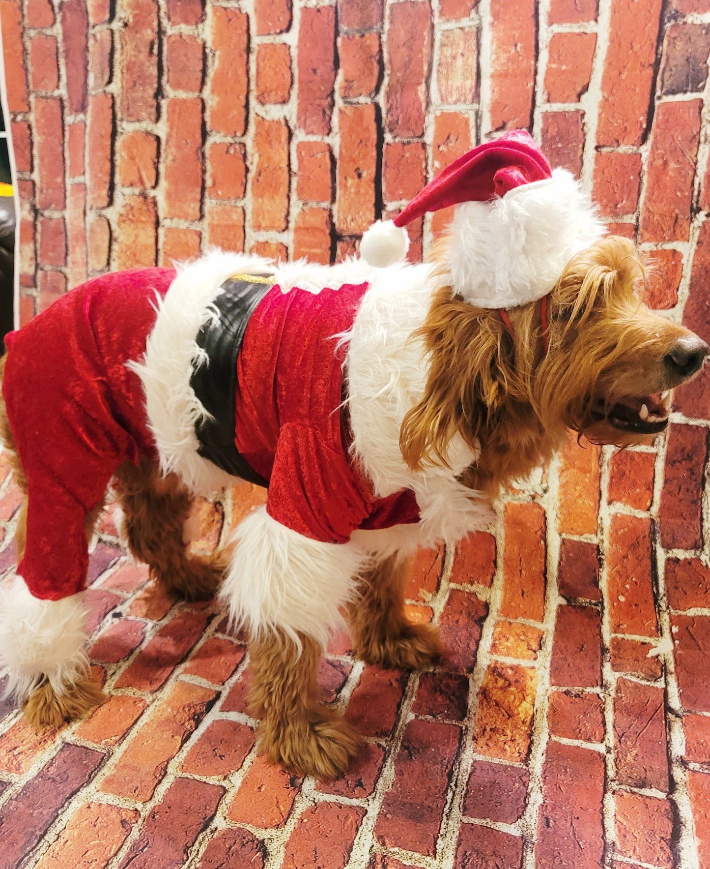 Pet Santa Costume, santa dog costume, santa full pet costume, santa cat costume, dog santa costume, Christmas pet costume, holiday pet