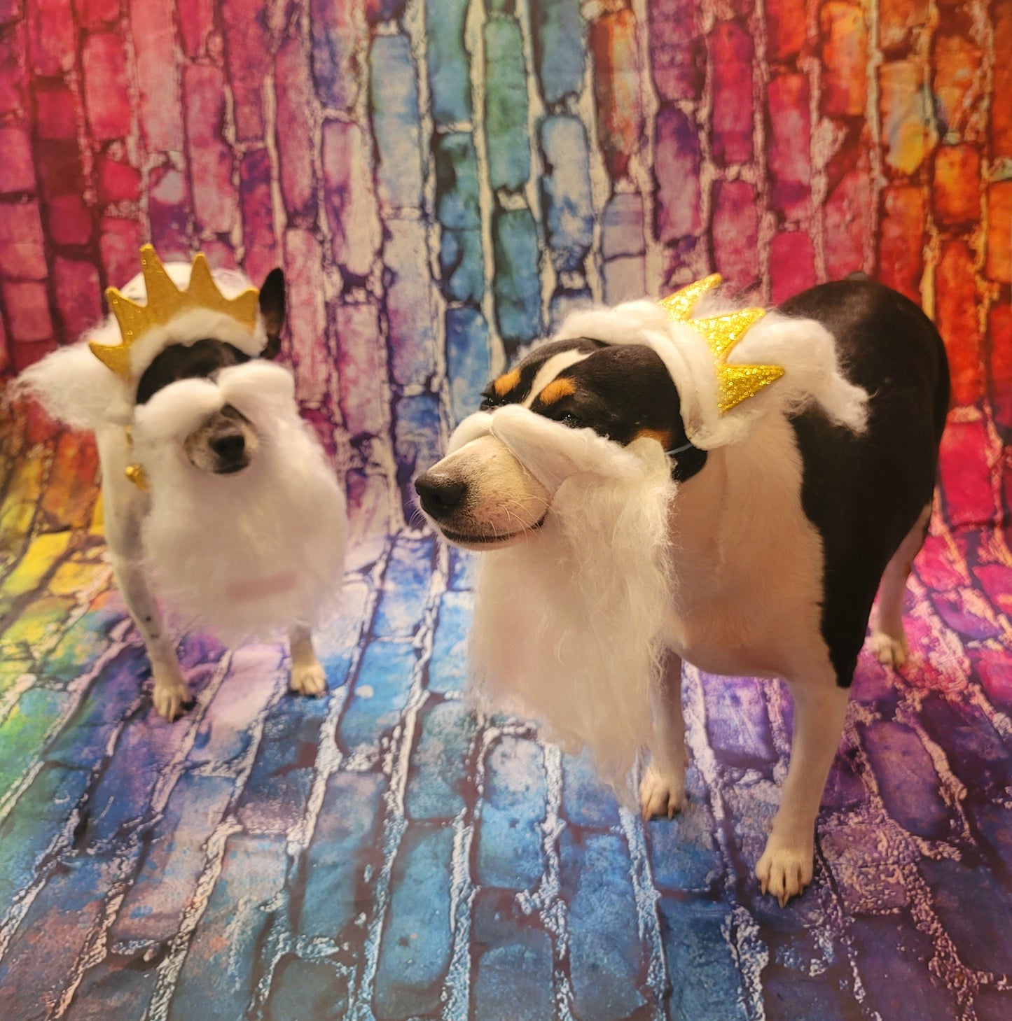 King Triton Pet wig, beard and crown, King Triton dog wig and crown, Sea King Pet wig, beard and crown, Mermaid Pet wig and beard