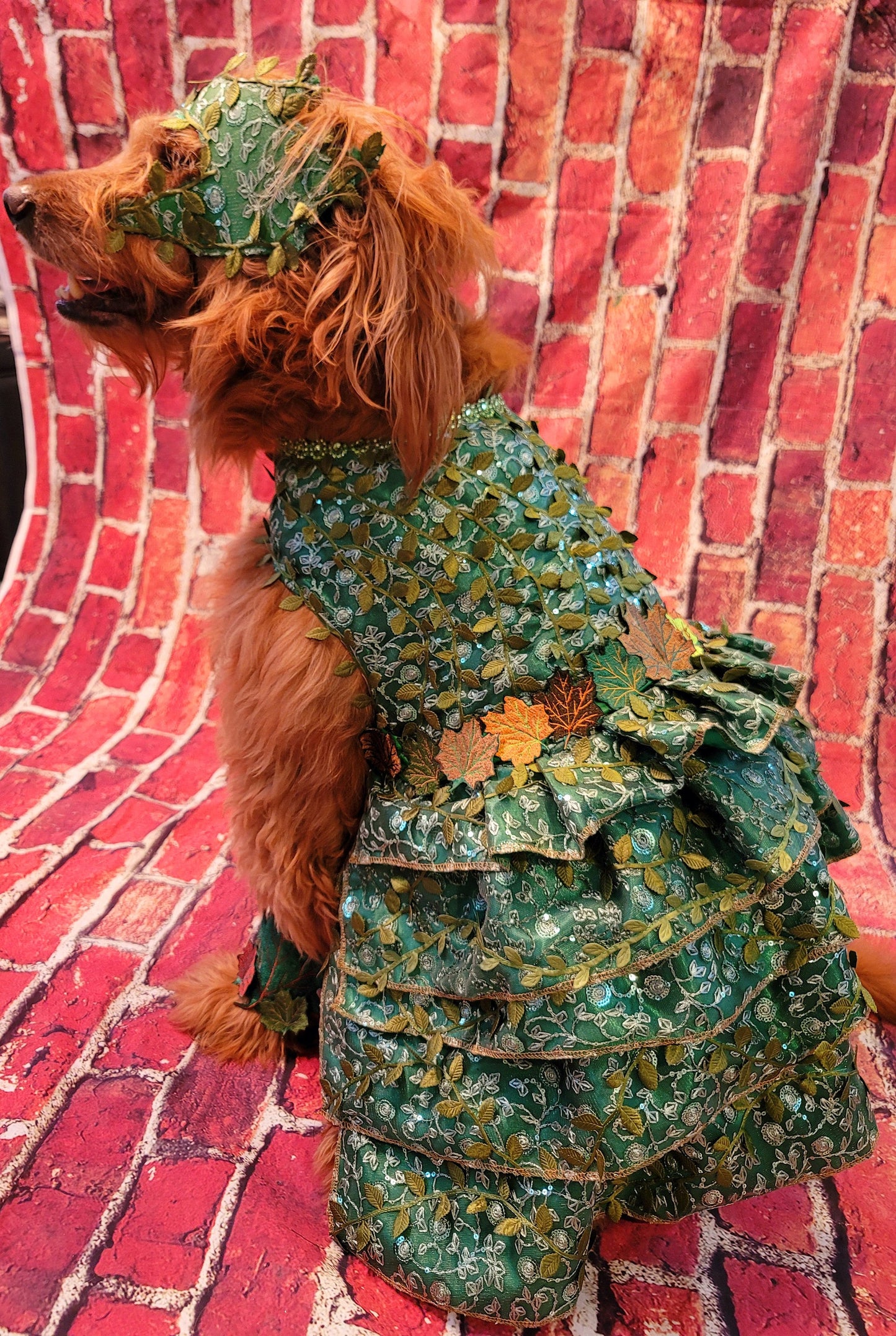 - Poison Ivy Pet Costume, Poison Ivy dog costume, Poision Ivy Cat costume, pet Poison Ivy costume, dog Poison Ivy costume, cat Poison Ivy