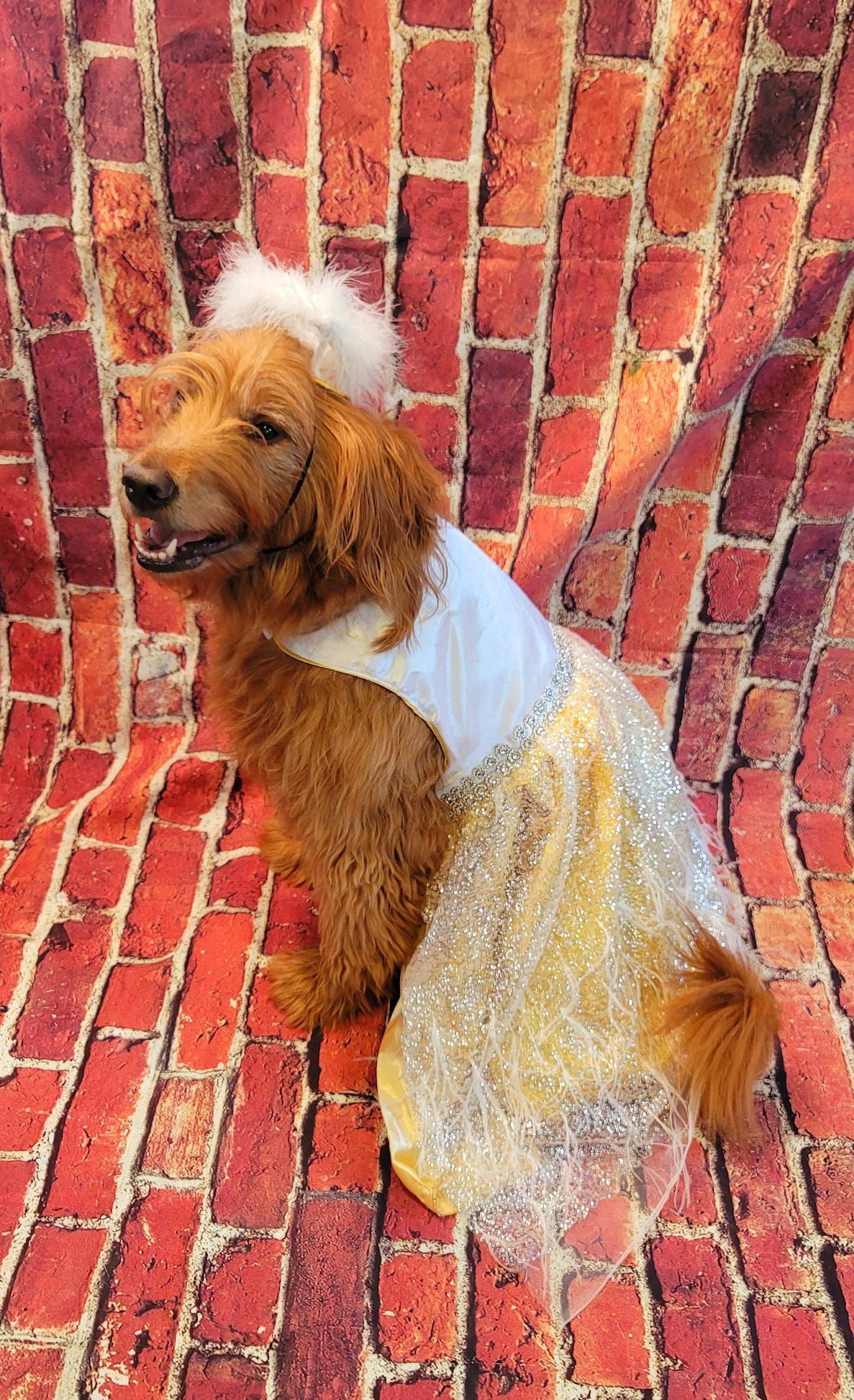 Pet Angel Pet Costume, Angel Pet Harness, Angel dog Costume, Angel Cat Costume, Halloween Angel Costume, Halloween Pet Costume