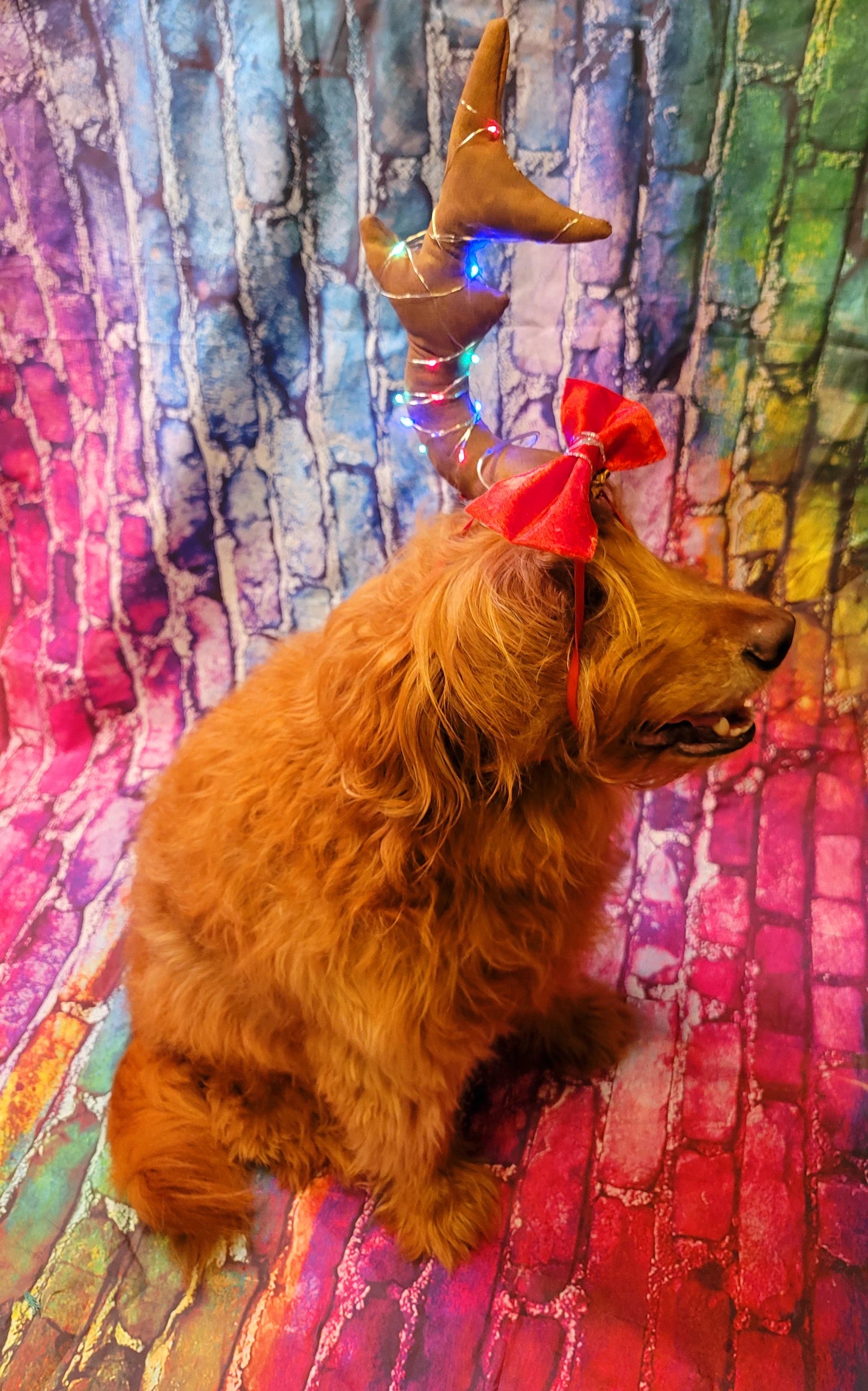 Max the Grinch pet antlers, Max the grinch that stole Christmas dog antlers, light up pet antlers, cat antlers, The Grinch Max antlers