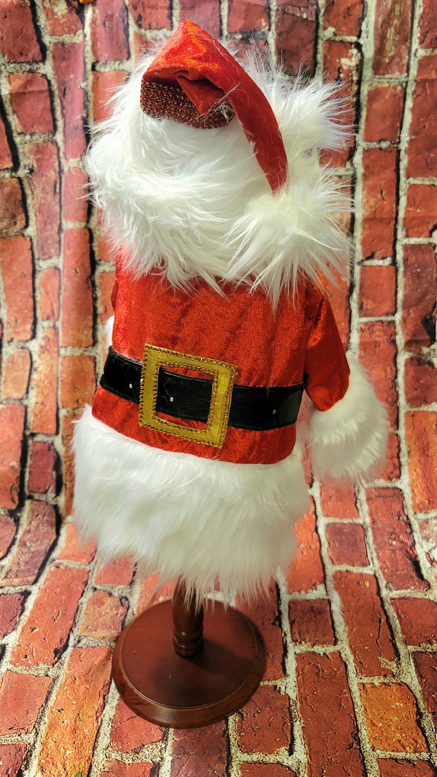 Pet Santa shirt and hat, santa dog shirt hat, santa pet costume, santa cat costume, dog santa costume, Christmas pet costume,
