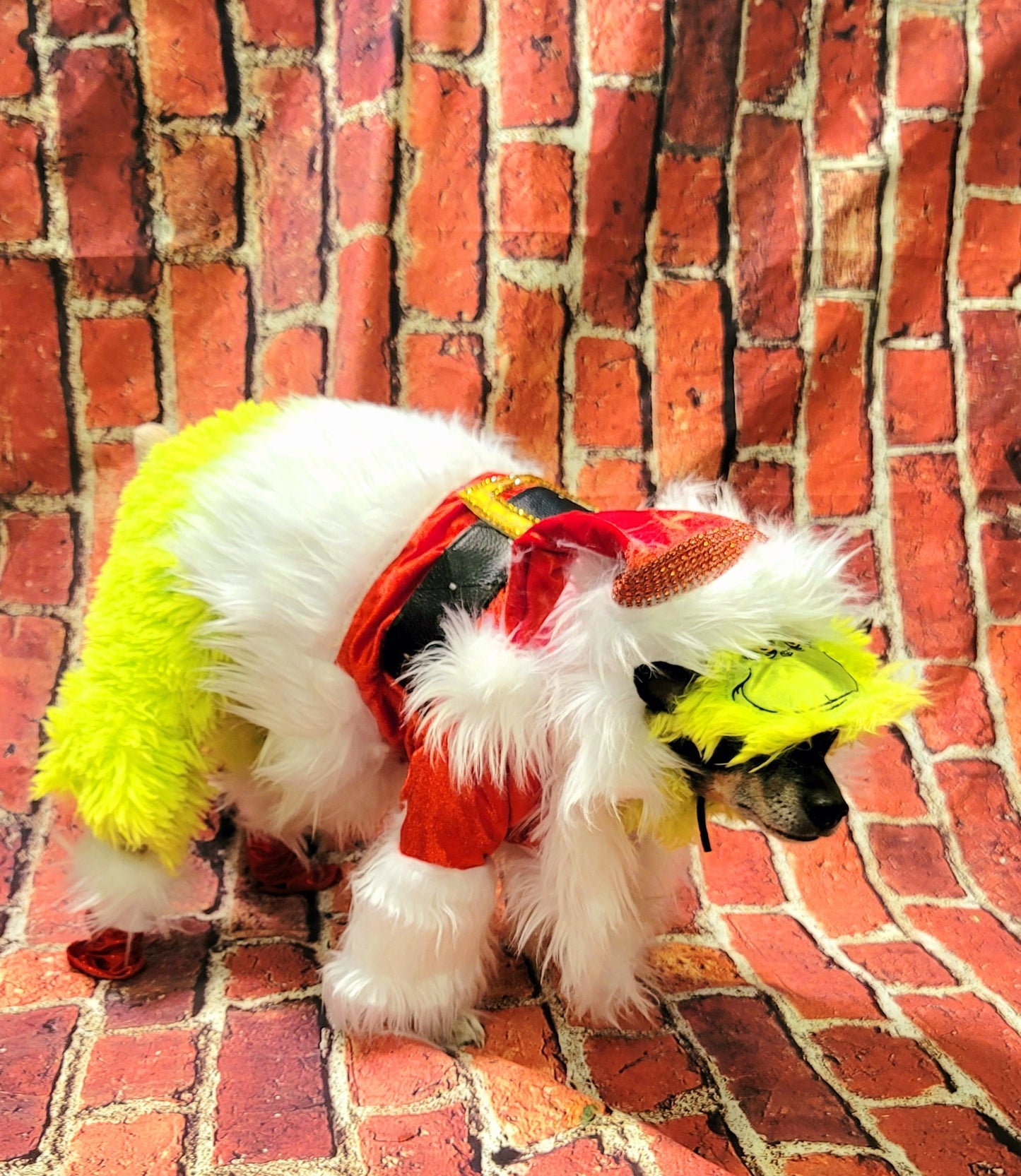 The Grinch pet costume, The Grinch stole Christmas pet costume, Grinch dog costume, Grinch cat costume, The grinch dog costume, pet grinch