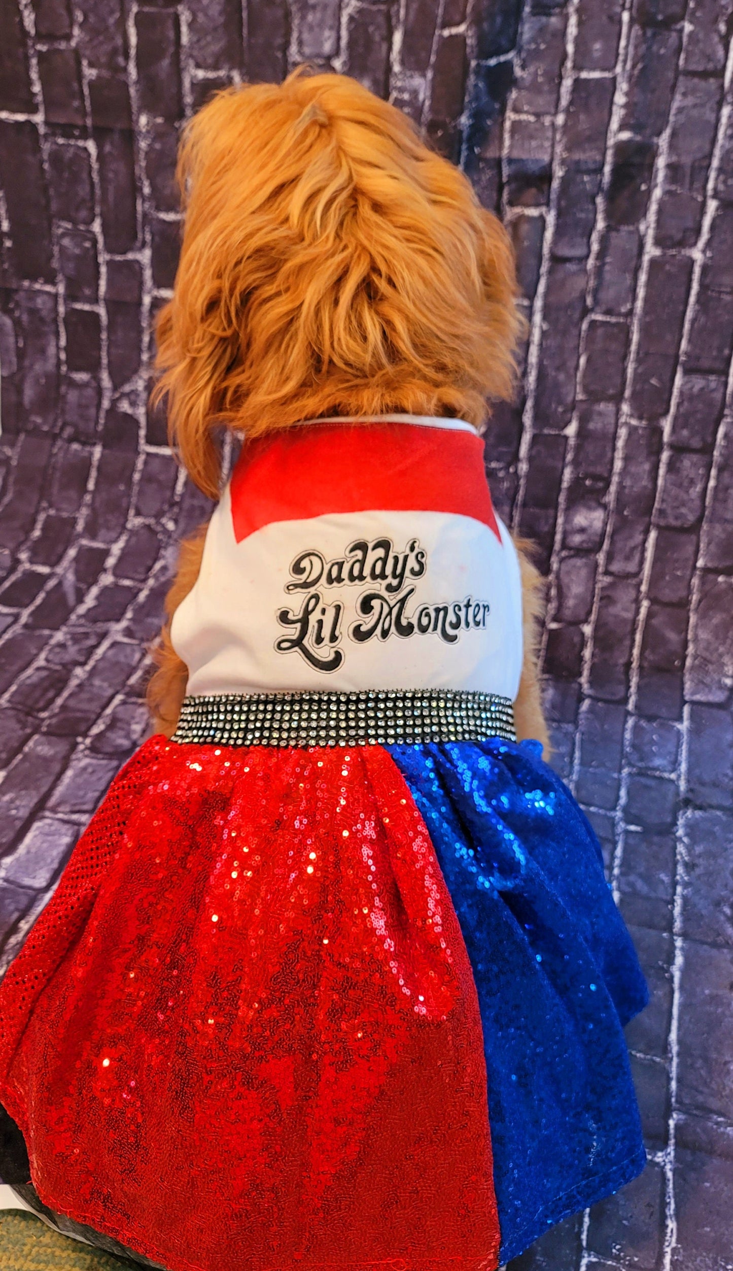 - Harley Quinn pet costume, Harley Quinn sequin dog costume, Harley Quinn Cat costume