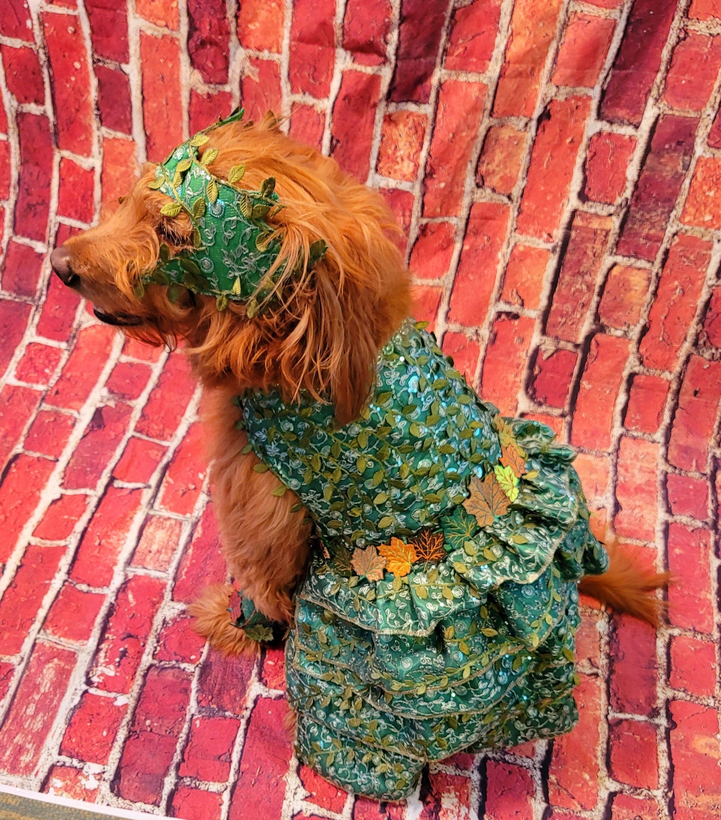 - Poison Ivy Pet Costume, Poison Ivy dog costume, Poision Ivy Cat costume, pet Poison Ivy costume, dog Poison Ivy costume, cat Poison Ivy