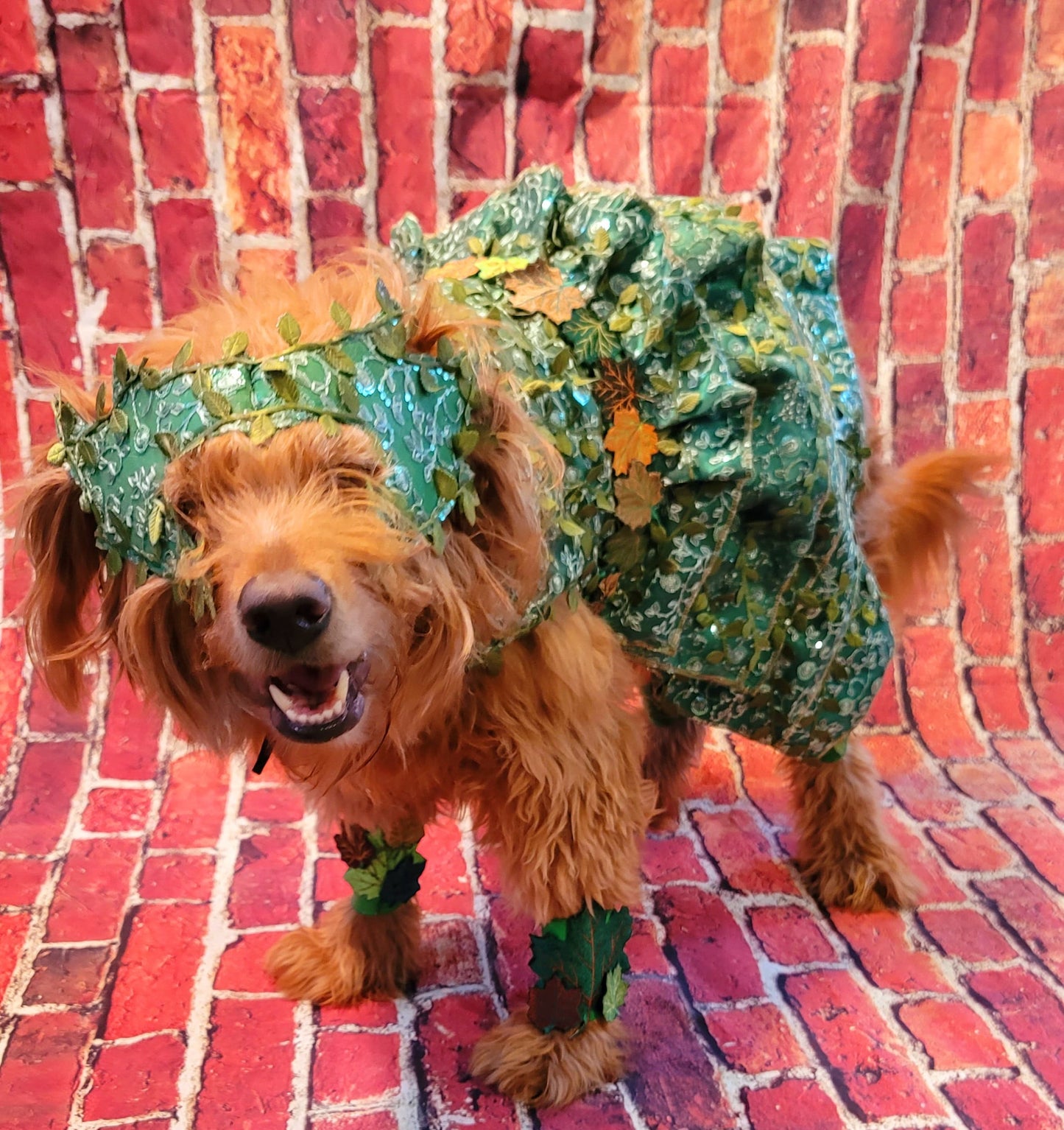 - Poison Ivy Pet Costume, Poison Ivy dog costume, Poision Ivy Cat costume, pet Poison Ivy costume, dog Poison Ivy costume, cat Poison Ivy
