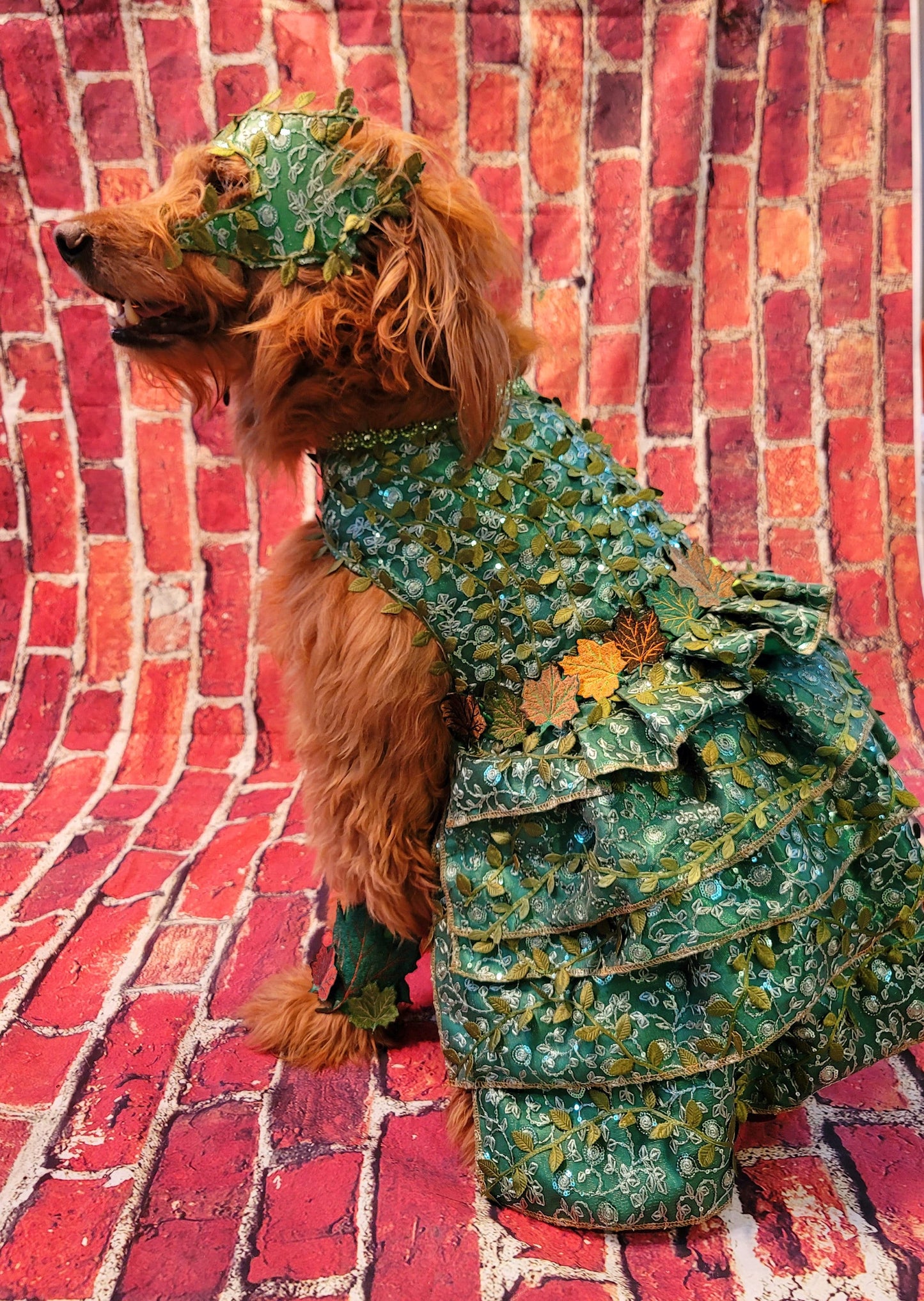 - Poison Ivy Pet Costume, Poison Ivy dog costume, Poision Ivy Cat costume, pet Poison Ivy costume, dog Poison Ivy costume, cat Poison Ivy