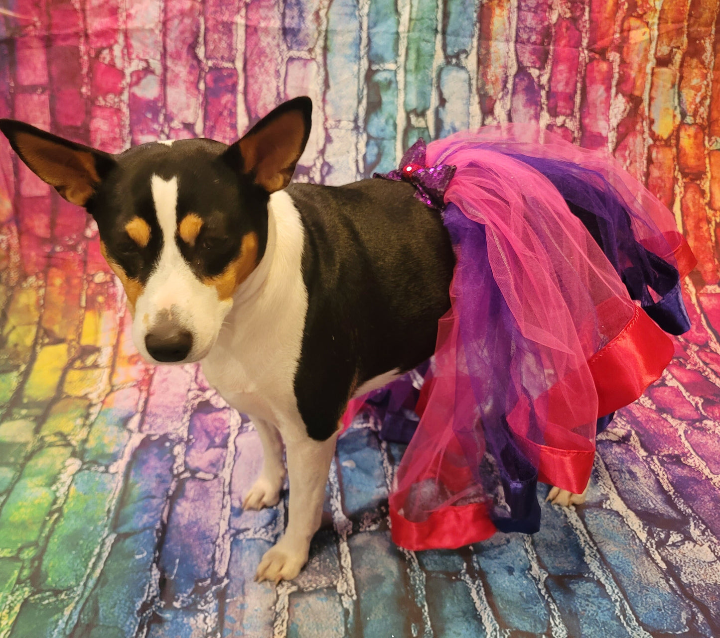 Pet Tutu, Dog Tutu, Cat Tutu, pet birthday tutu, pet skirt, dog skirt, cat skirt, tulle pet skirt, tulle dog skirt, tulle cat skirt