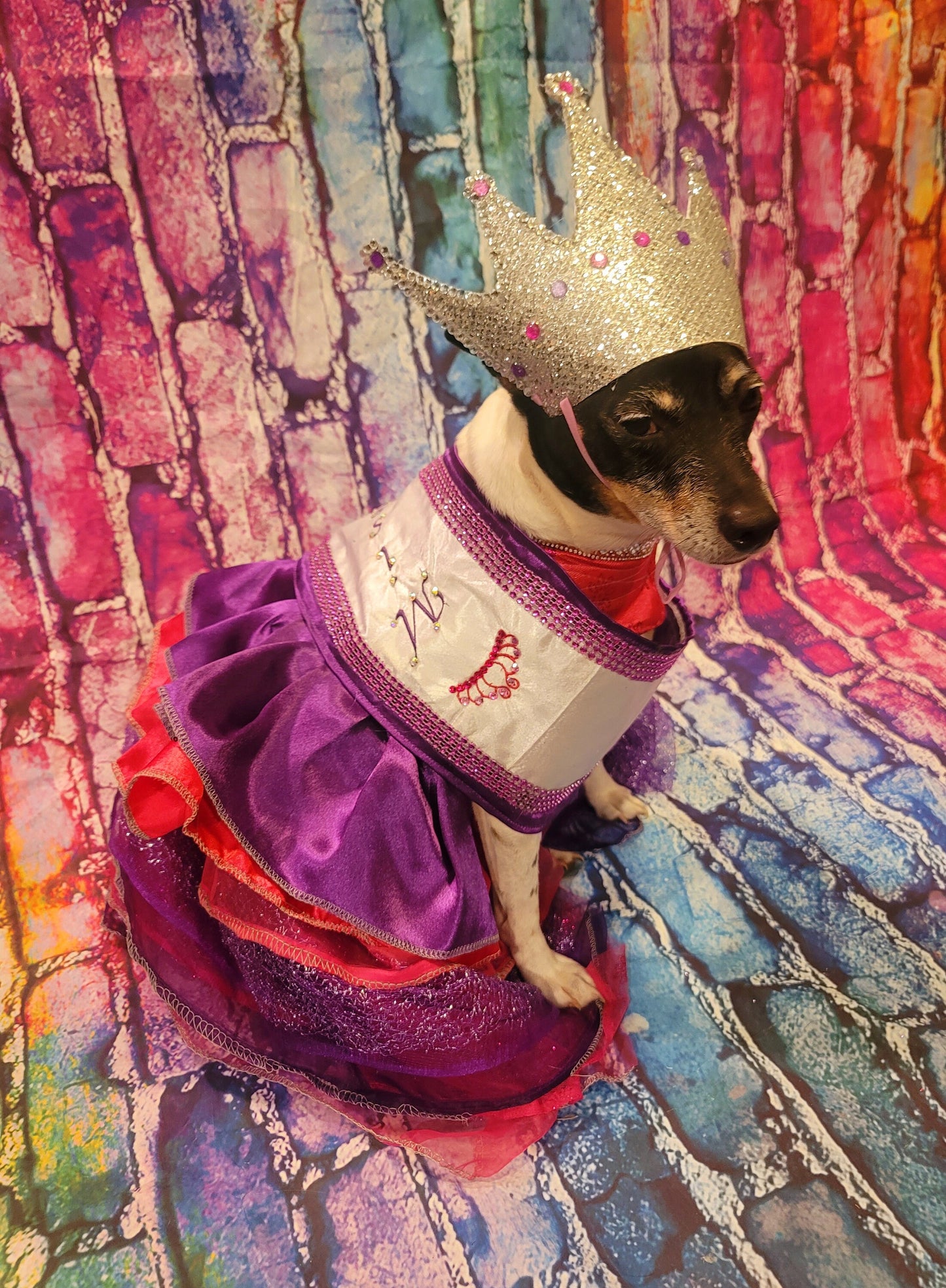 Miss America Pet Costume, Pagent Pet Costume, Princess Pet Costume, Miss America Dog Costume, Cat Costume, Princess Dog Dress, Queen Pet