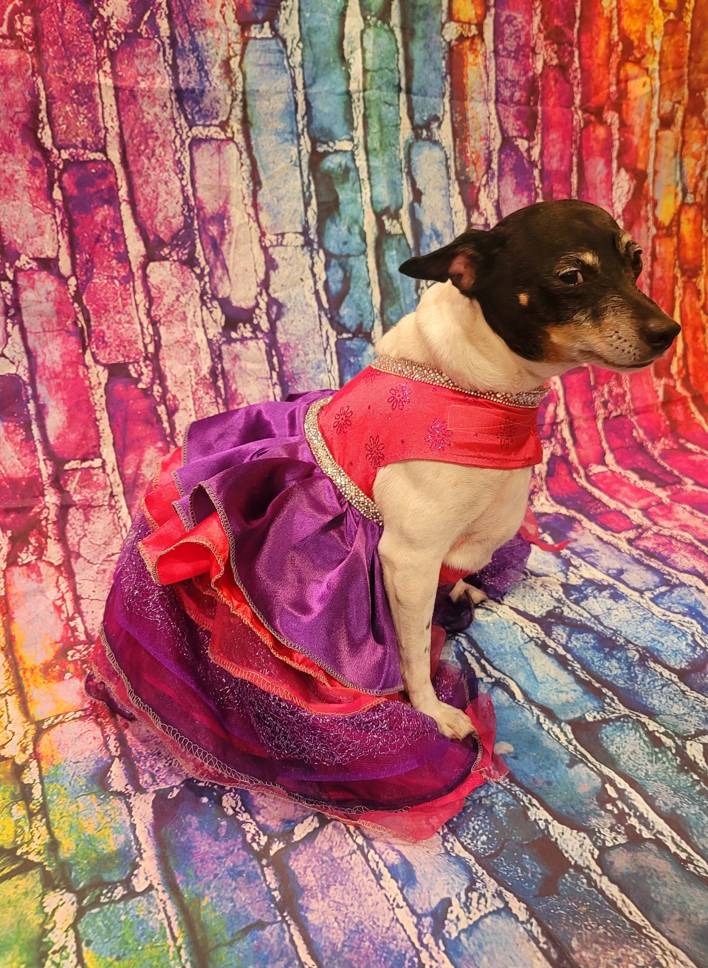 Pet Dress, special occasion pet dress, pink pet dress, purple pet dress, rhinestone dog dress, cat dress, new years eve pet, Christmas pet