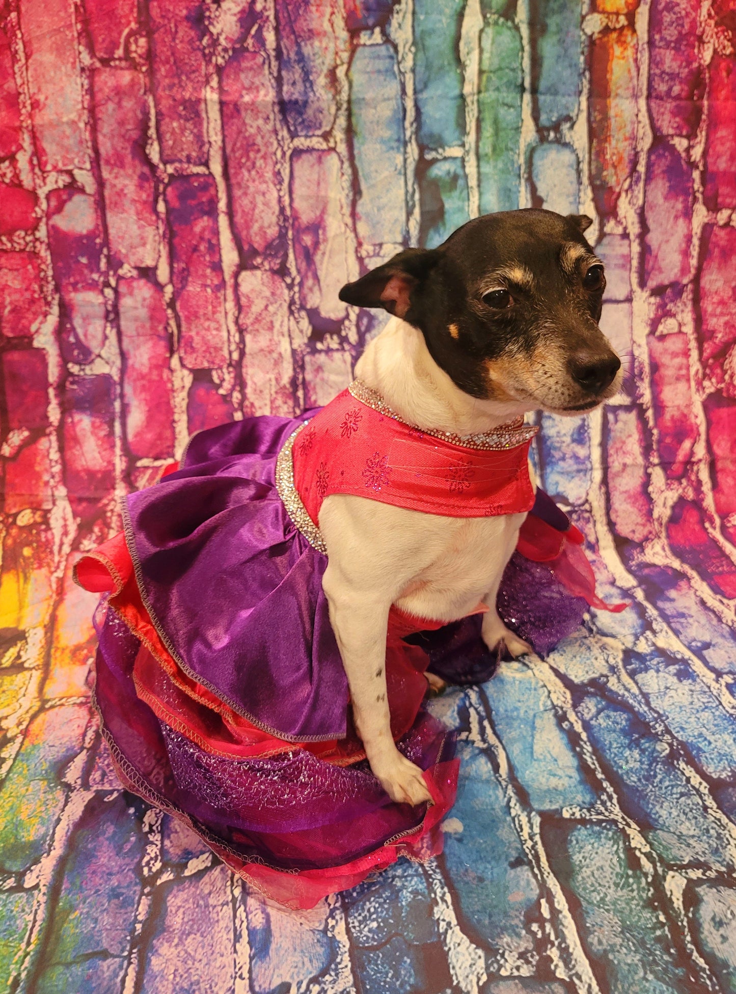 Pet Dress, special occasion pet dress, pink pet dress, purple pet dress, rhinestone dog dress, cat dress, new years eve pet, Christmas pet