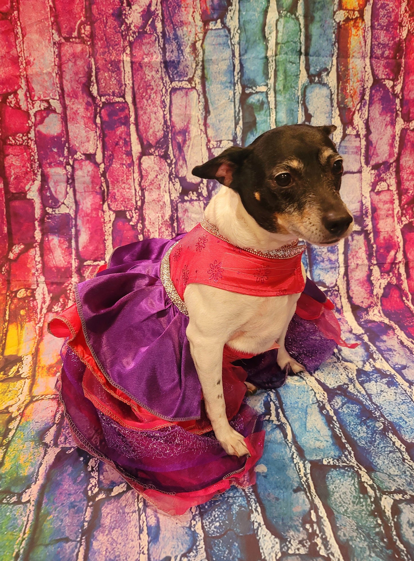 Pet Dress, special occasion pet dress, pink pet dress, purple pet dress, rhinestone dog dress, cat dress, new years eve pet, Christmas pet