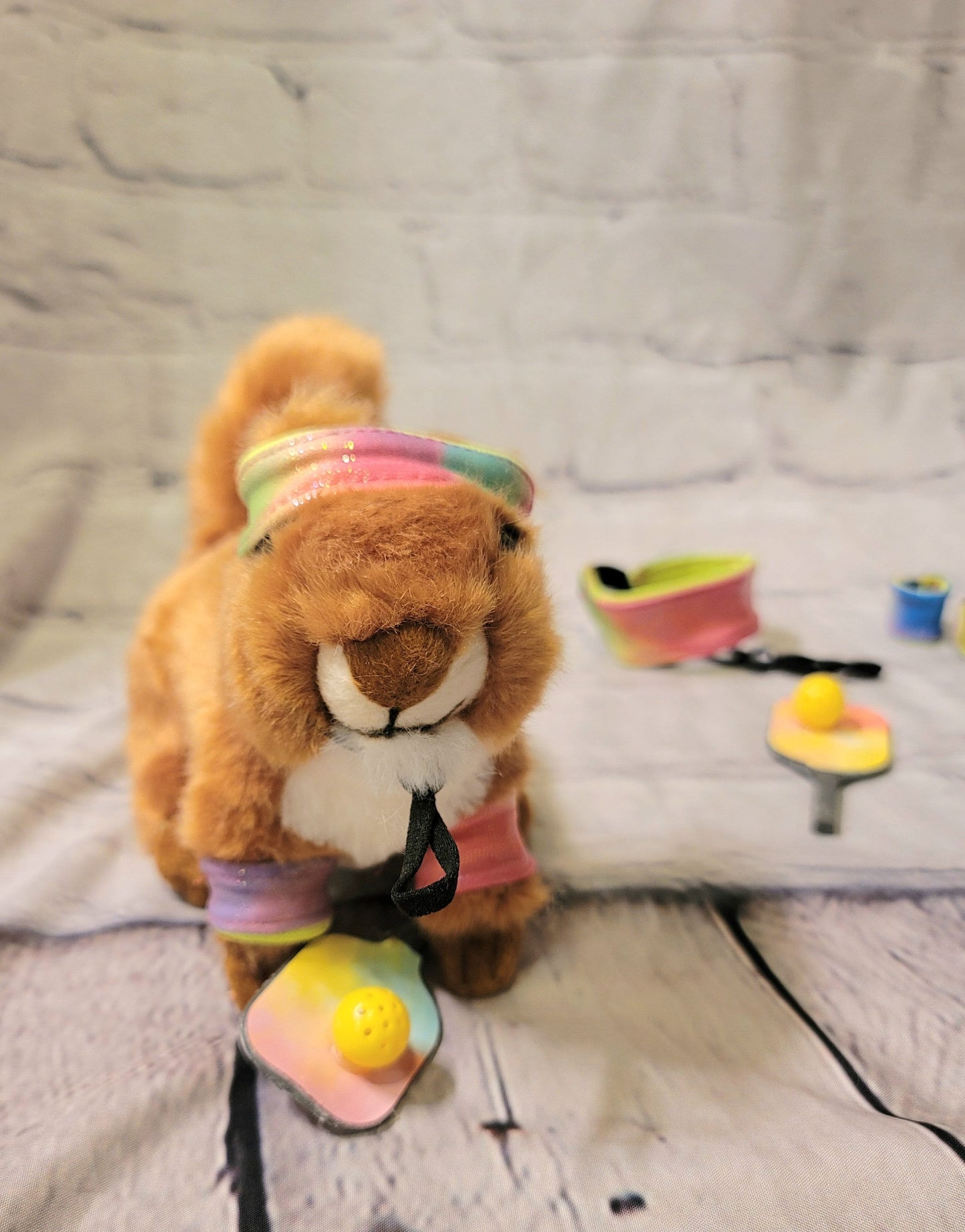 Squirrel Pickel Ball, Squirrel headband, Squirrel wristbands, pet Pickelball costume, exotic pet costume, Squirrel costume