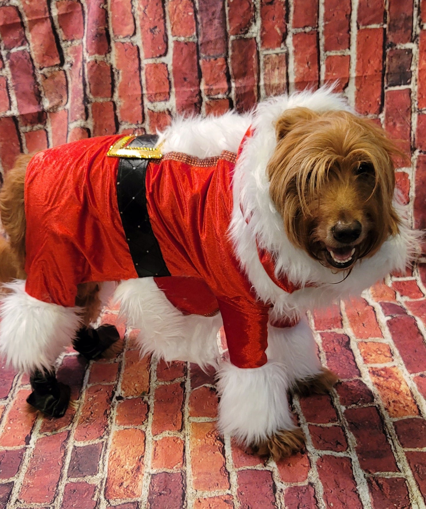 Pet Santa Costume, santa dog costume, santa full pet costume, santa cat costume, dog santa costume, Christmas pet costume, holiday pet