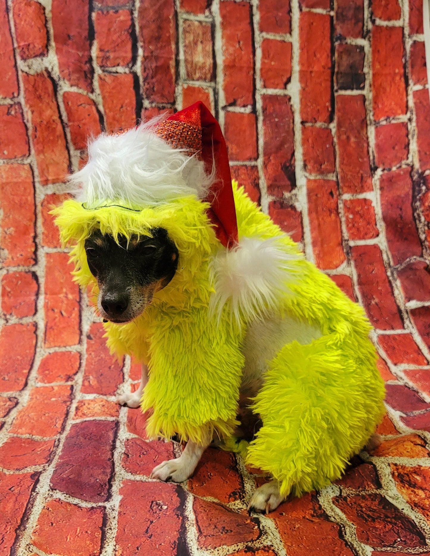 The Grinch pet costume, The Grinch stole Christmas pet costume, Grinch dog costume, Grinch cat costume, The grinch dog costume, pet grinch