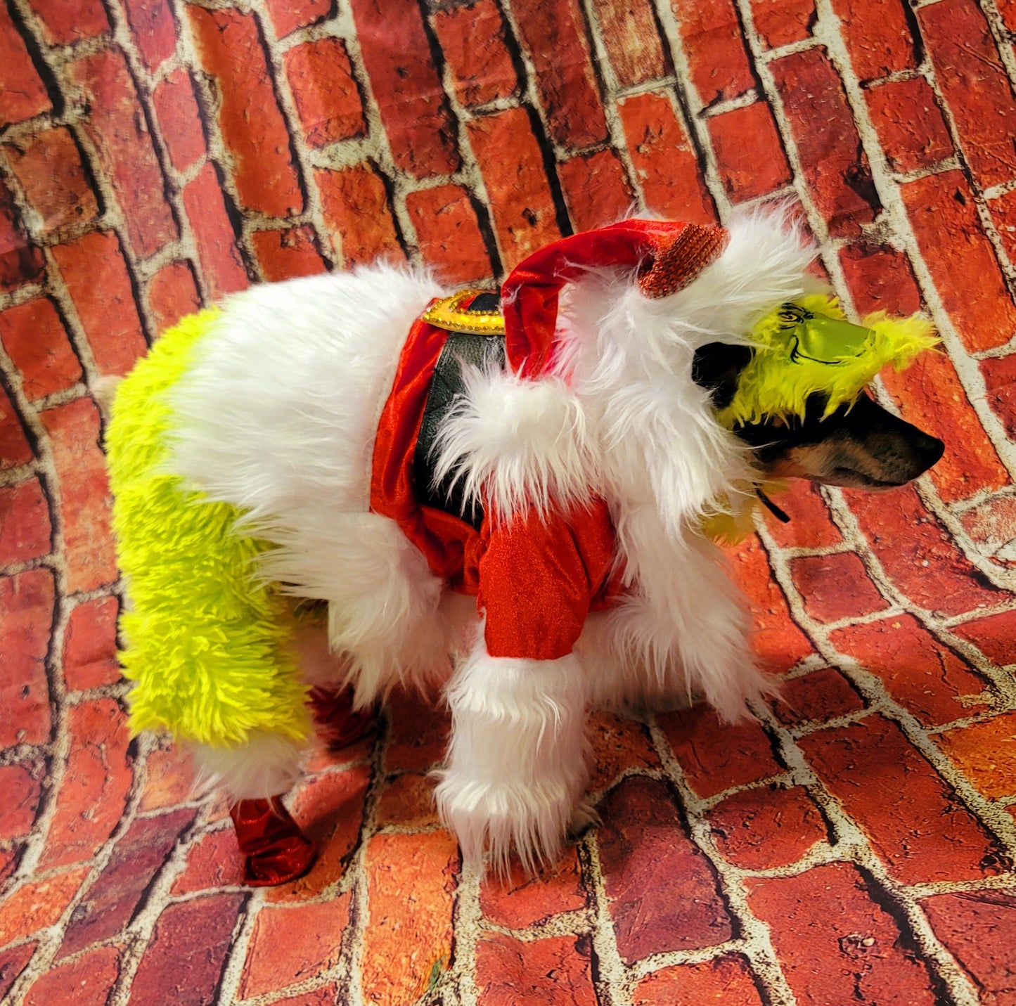 The Grinch pet costume, The Grinch stole Christmas pet costume, Grinch dog costume, Grinch cat costume, The grinch dog costume, pet grinch