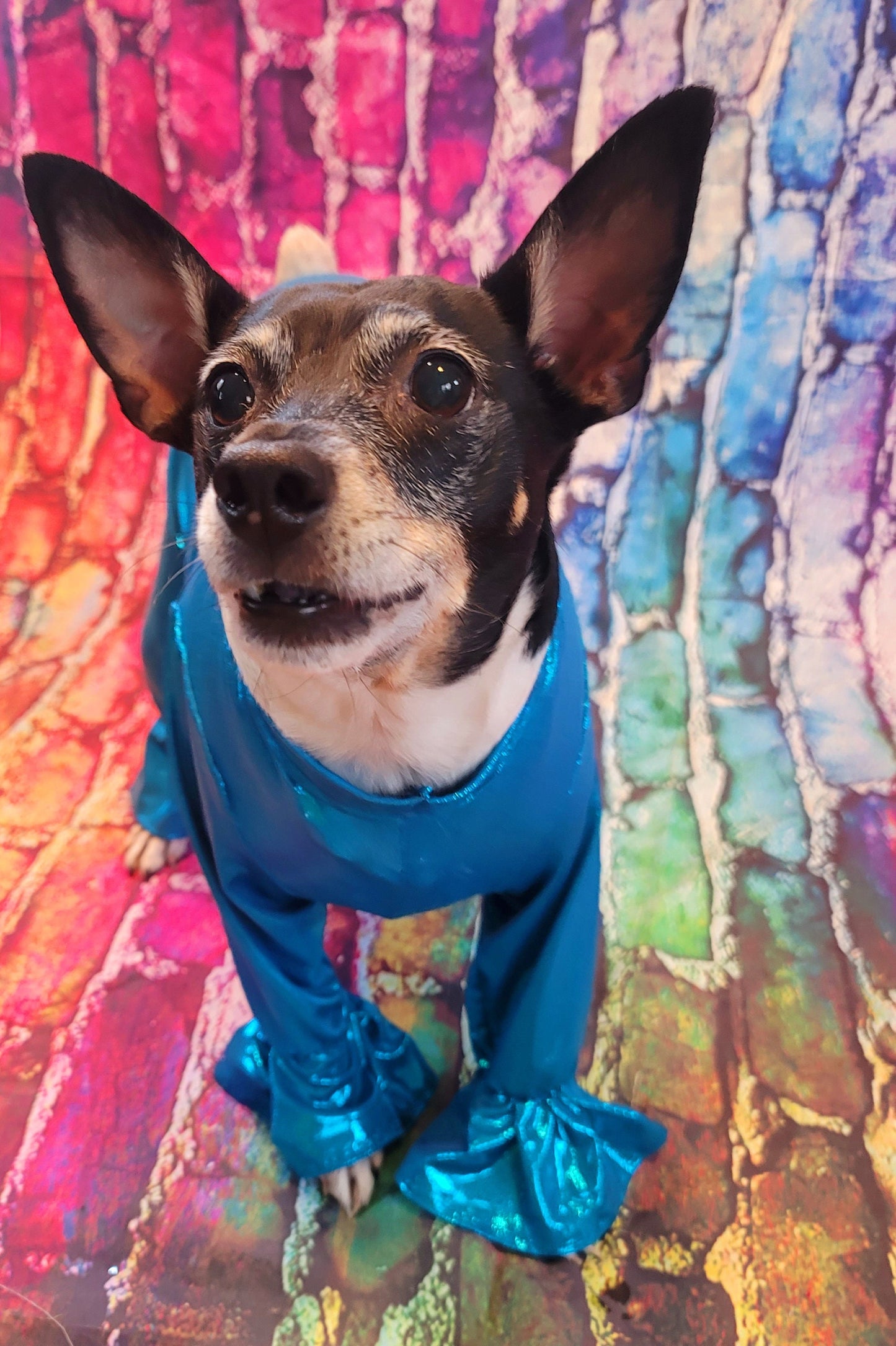 - Stretch pet body suit, metallic pet body suit, Stretch dog body suit, Stretch cat body suit, metallic dog body suit, bell bottom pet suit