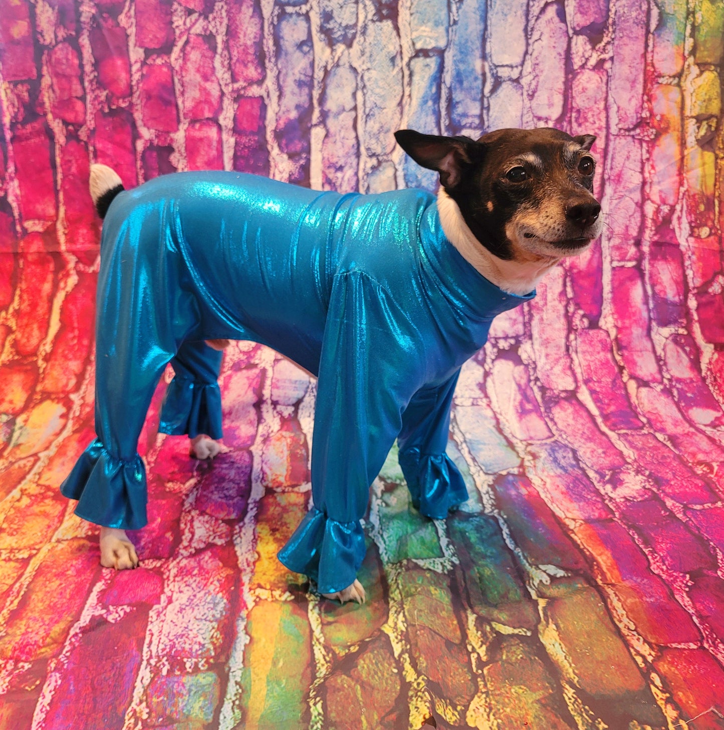 - Stretch pet body suit, metallic pet body suit, Stretch dog body suit, Stretch cat body suit, metallic dog body suit, bell bottom pet suit