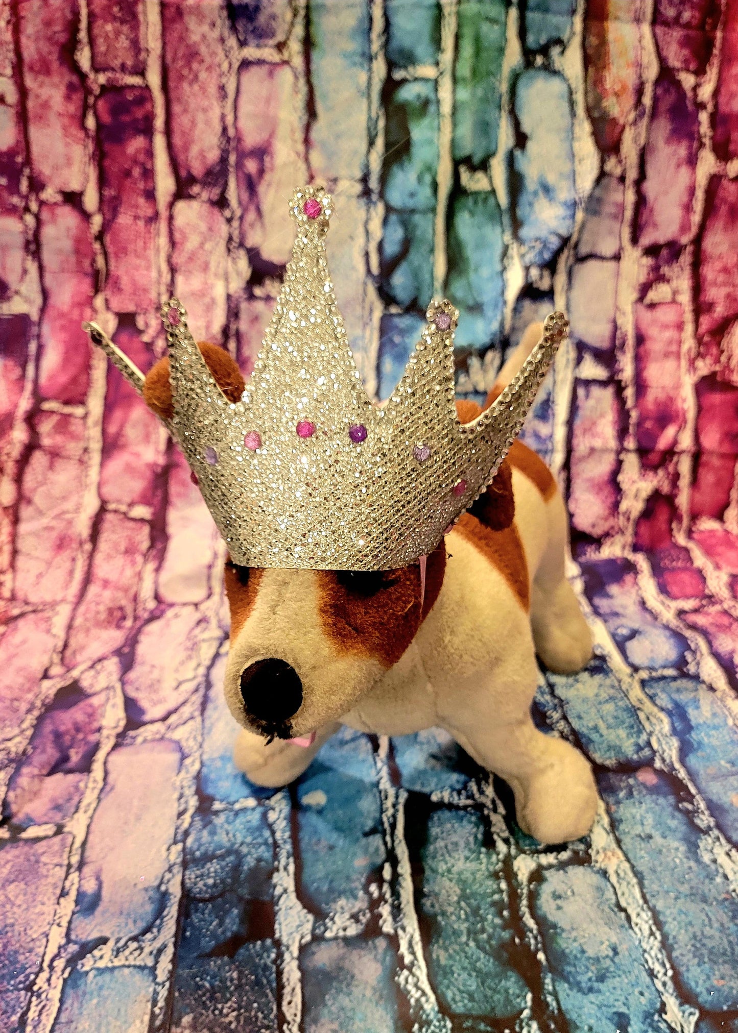 Pet Crown, Dog Crown, Cat Crown, Pet Birthday Crown, crown for pets, crown for dogs, crown for cats