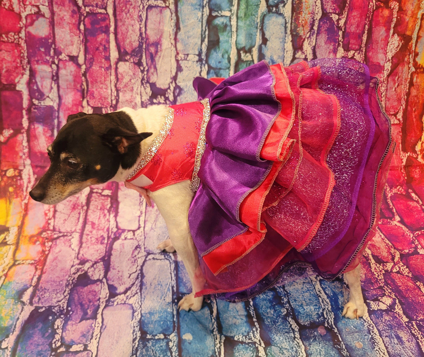 Pet Dress, special occasion pet dress, pink pet dress, purple pet dress, rhinestone dog dress, cat dress, new years eve pet, Christmas pet