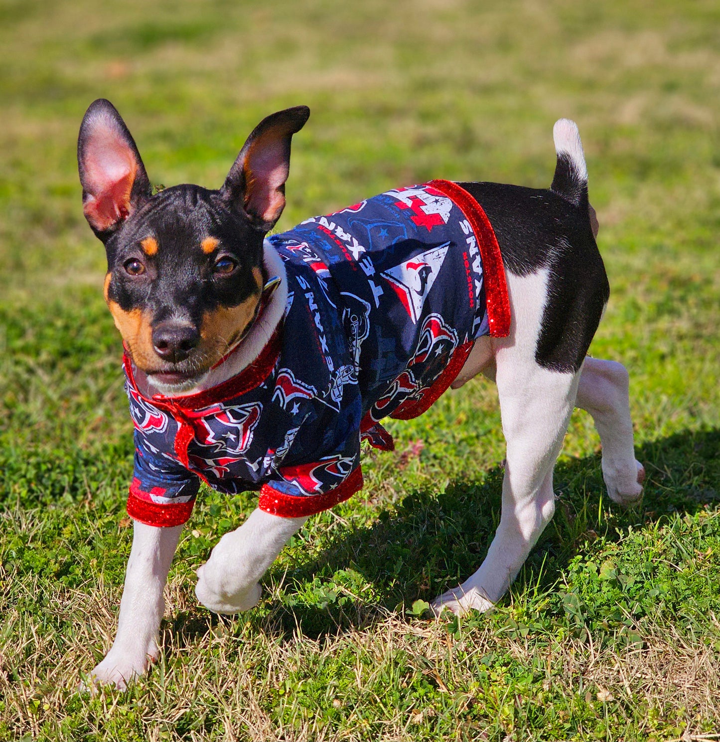 NFL pet shirt, NFL dog shirt, Houston Texans Pet shirt, Houston Texans dog shirt, pet football shirt, dog football shirt, Playoff pet shirt