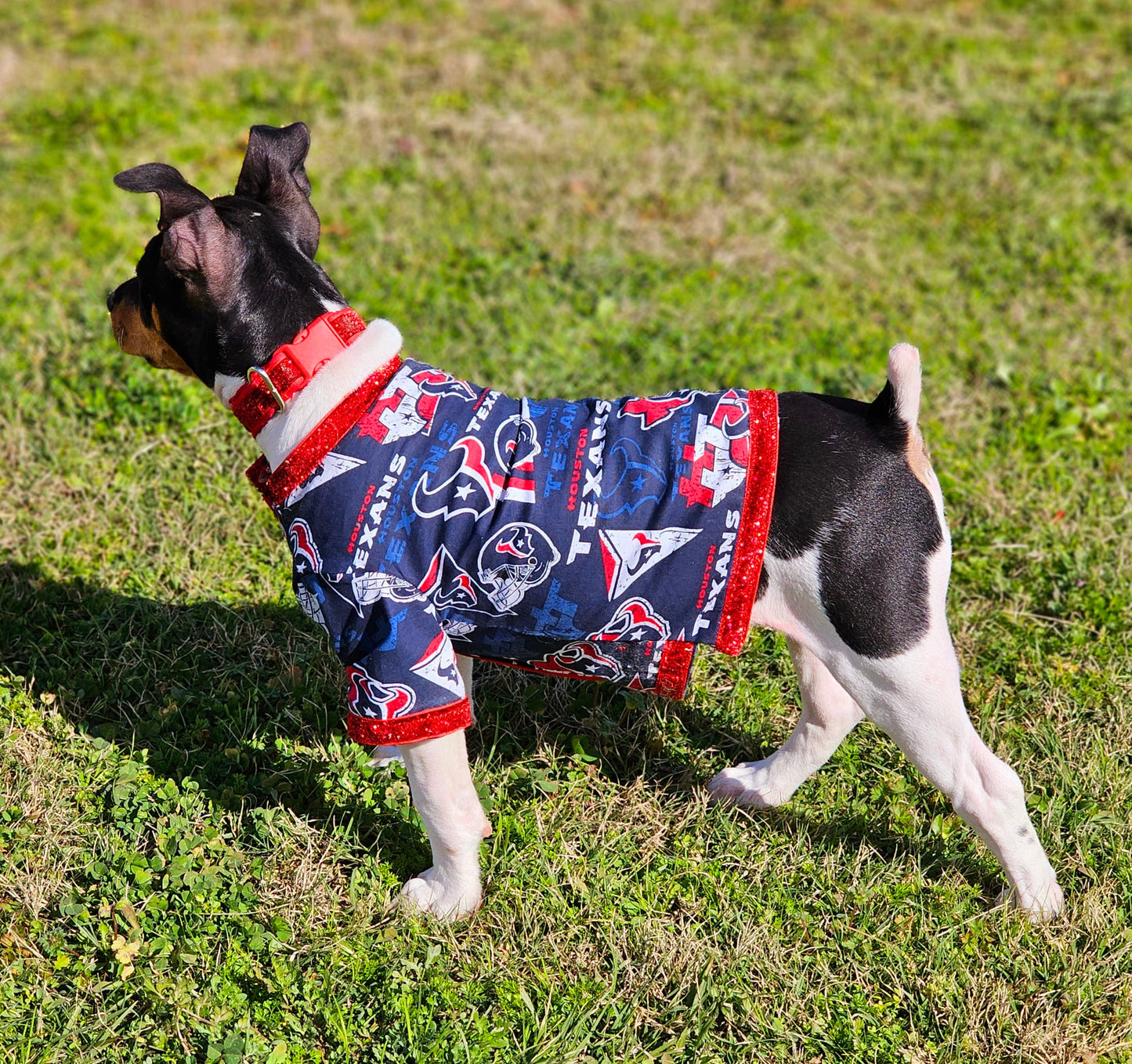 NFL pet shirt, NFL dog shirt, Houston Texans Pet shirt, Houston Texans dog shirt, pet football shirt, dog football shirt, Playoff pet shirt