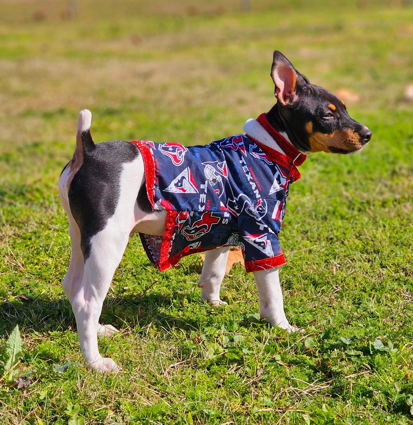 NFL pet shirt, NFL dog shirt, Houston Texans Pet shirt, Houston Texans dog shirt, pet football shirt, dog football shirt, Playoff pet shirt