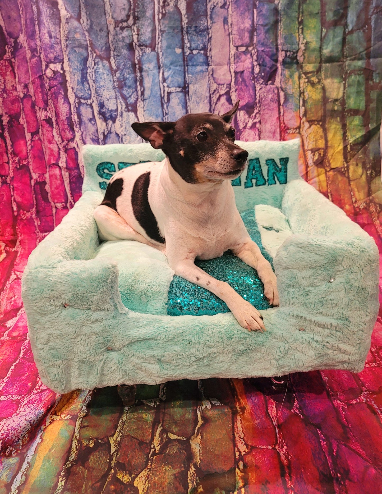 Luxury pet bed, personalized sequin pet bed, personalized pet furniture, acrylic pet bed, pet bed with legs, dog luxury bed