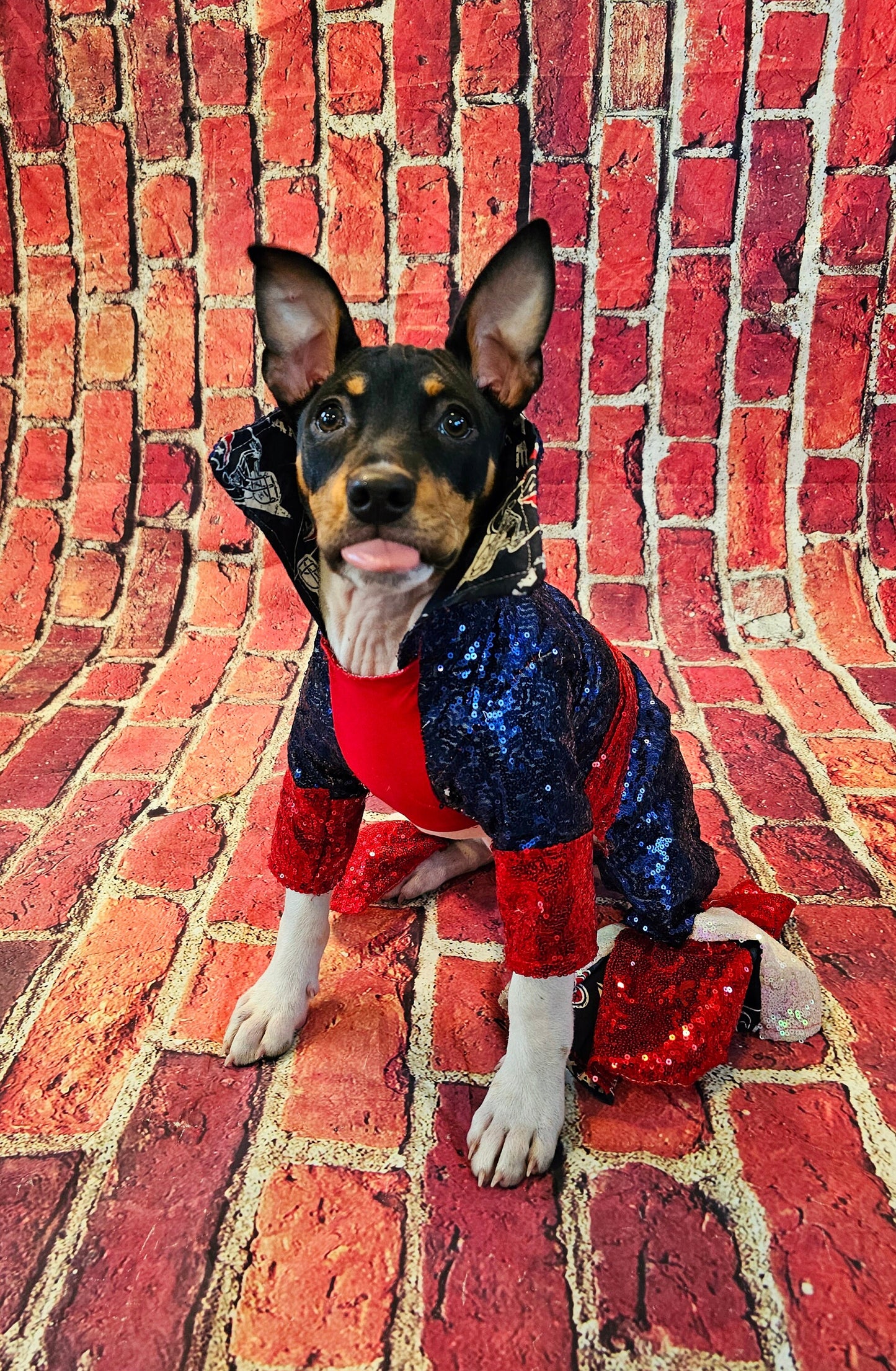 Houston Texans sequin pet suit, Texans Pet clothes, NFL sequin pet clothes, playoff pet clothes, sequin pet suit, NFL dog suit, dog texans