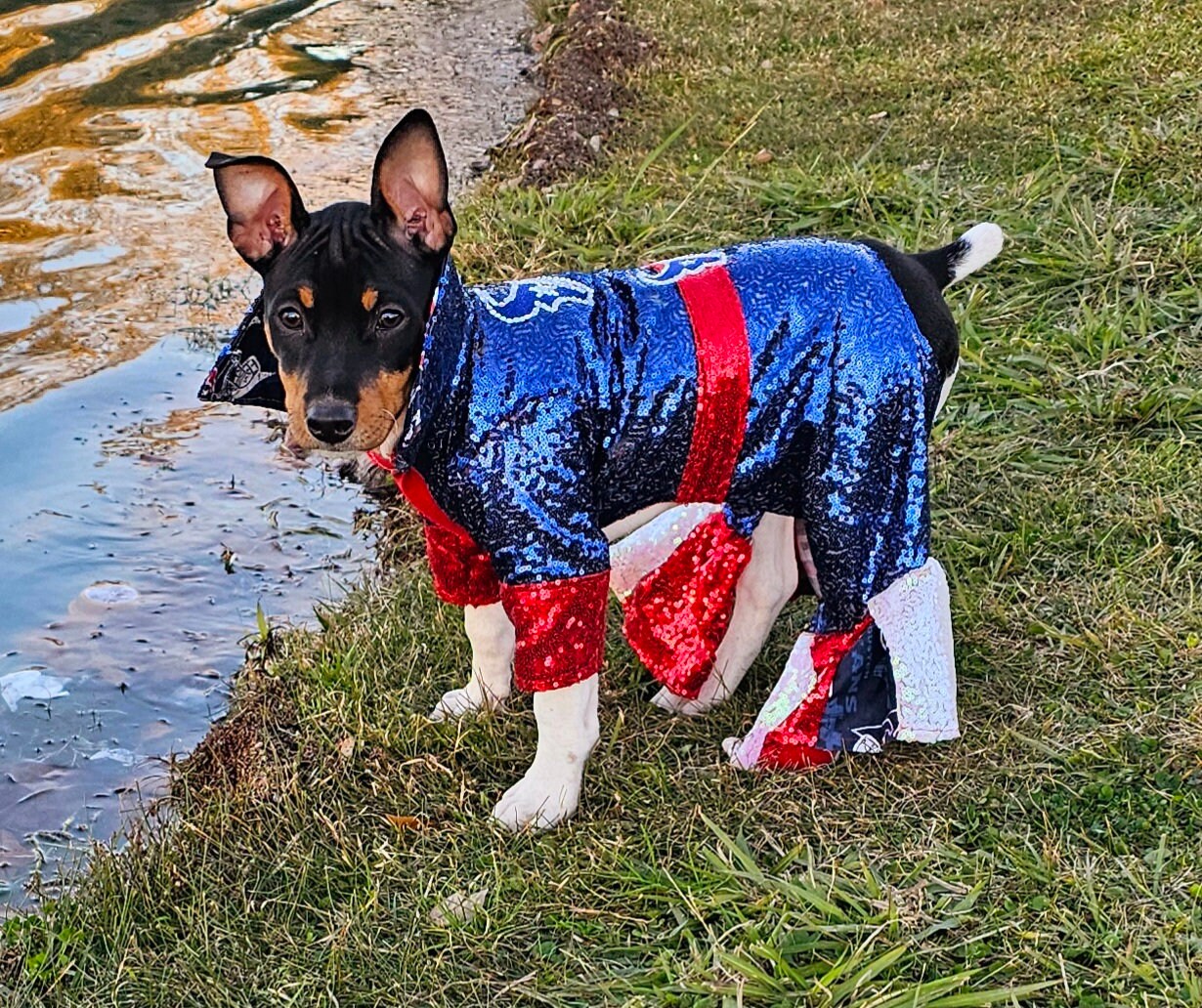 Houston Texans sequin pet suit, Texans Pet clothes, NFL sequin pet clothes, playoff pet clothes, sequin pet suit, NFL dog suit, dog texans