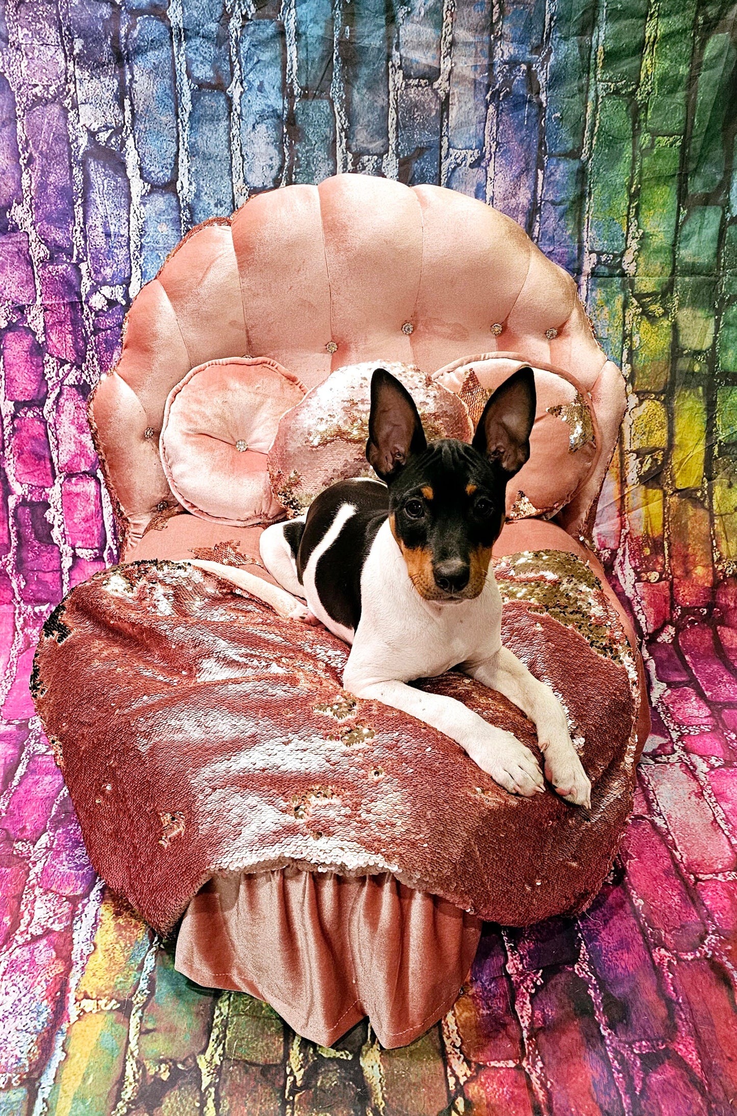 Barbie Pet Wake Up Bed, Barbie pet shell bed, heart shape pet bed