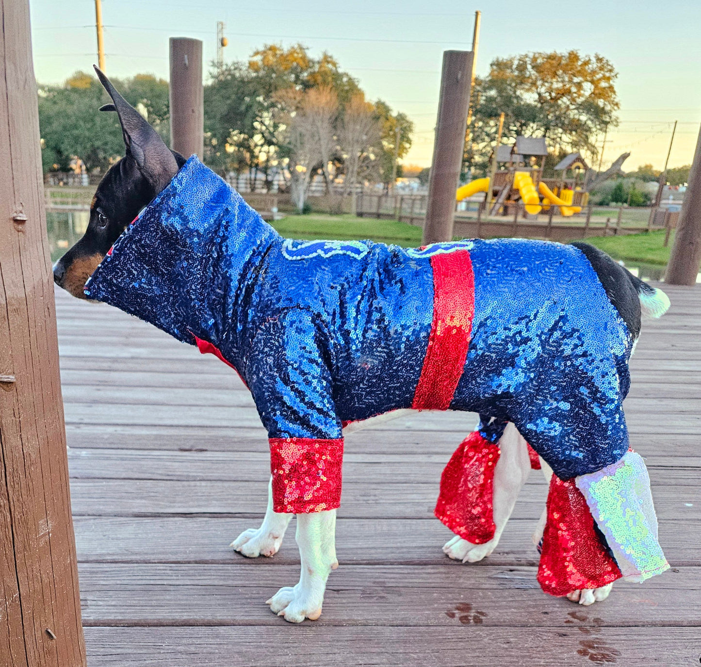 Houston Texans sequin pet suit, Texans Pet clothes, NFL sequin pet clothes, playoff pet clothes, sequin pet suit, NFL dog suit, dog texans