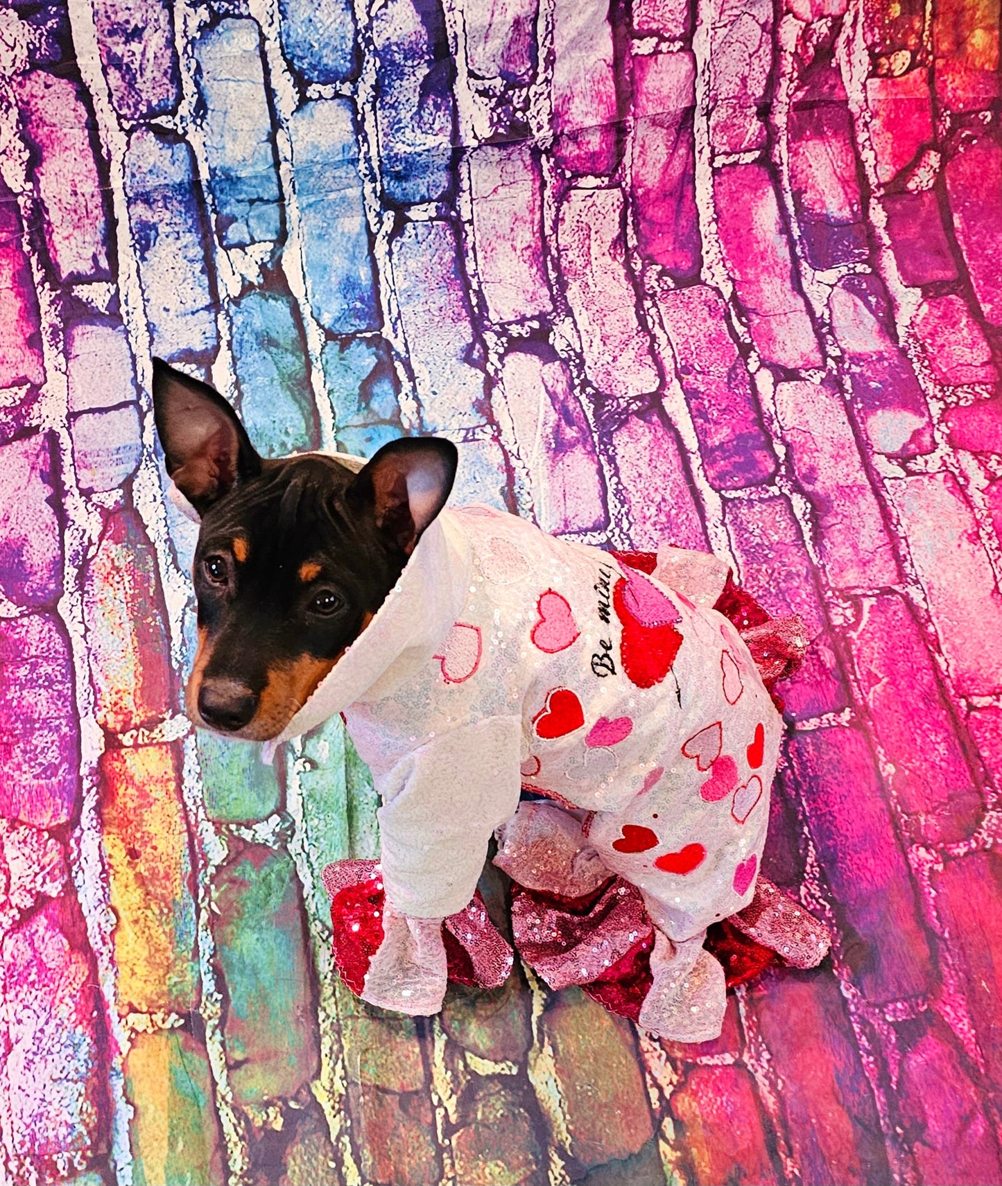 Valentine Pet Costume, Cupid Pet Costume, Cupid dog costume, Be Mine Pet Suit, Sequin pet clothes, Embroidered pet clothes, Valentine dog