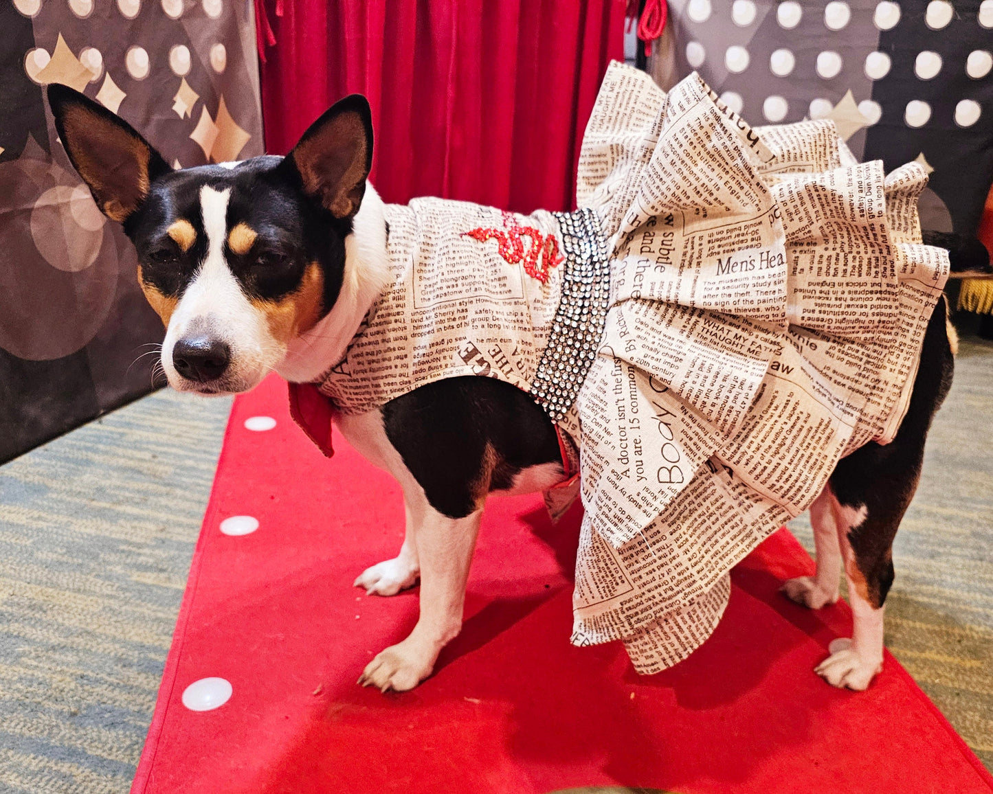 Reputation Pet Dress, Reputation dog dress, Reputation cat dress, Reputation era pet costume, Taylor Swift Rep pet, pet Reputation dress