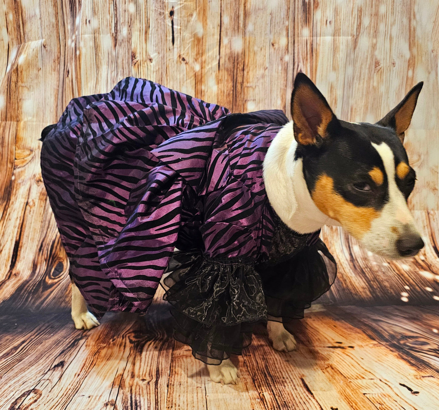 Zebra purple pet dress, 80's Pet Prom Dress, 80's Dog prom dress, 80's cat prom dress, 80'Pet Costume, 80's pet dresses, zebra pet prom