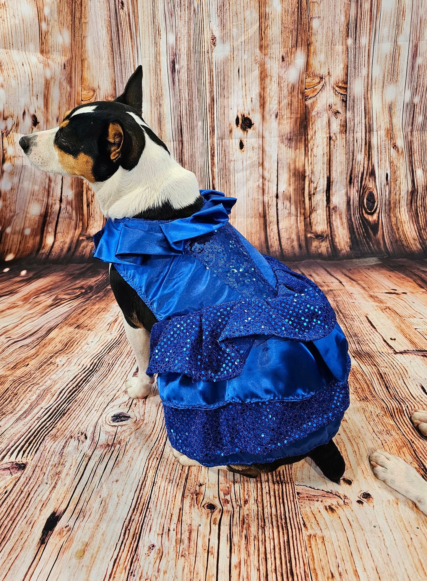 Blue 80's Pet Prom Dress, 80's Dog prom dress, 80's cat prom dress, 80'Pet Costume, 80's pet dresses, sequin pet dress, 80's prom pet